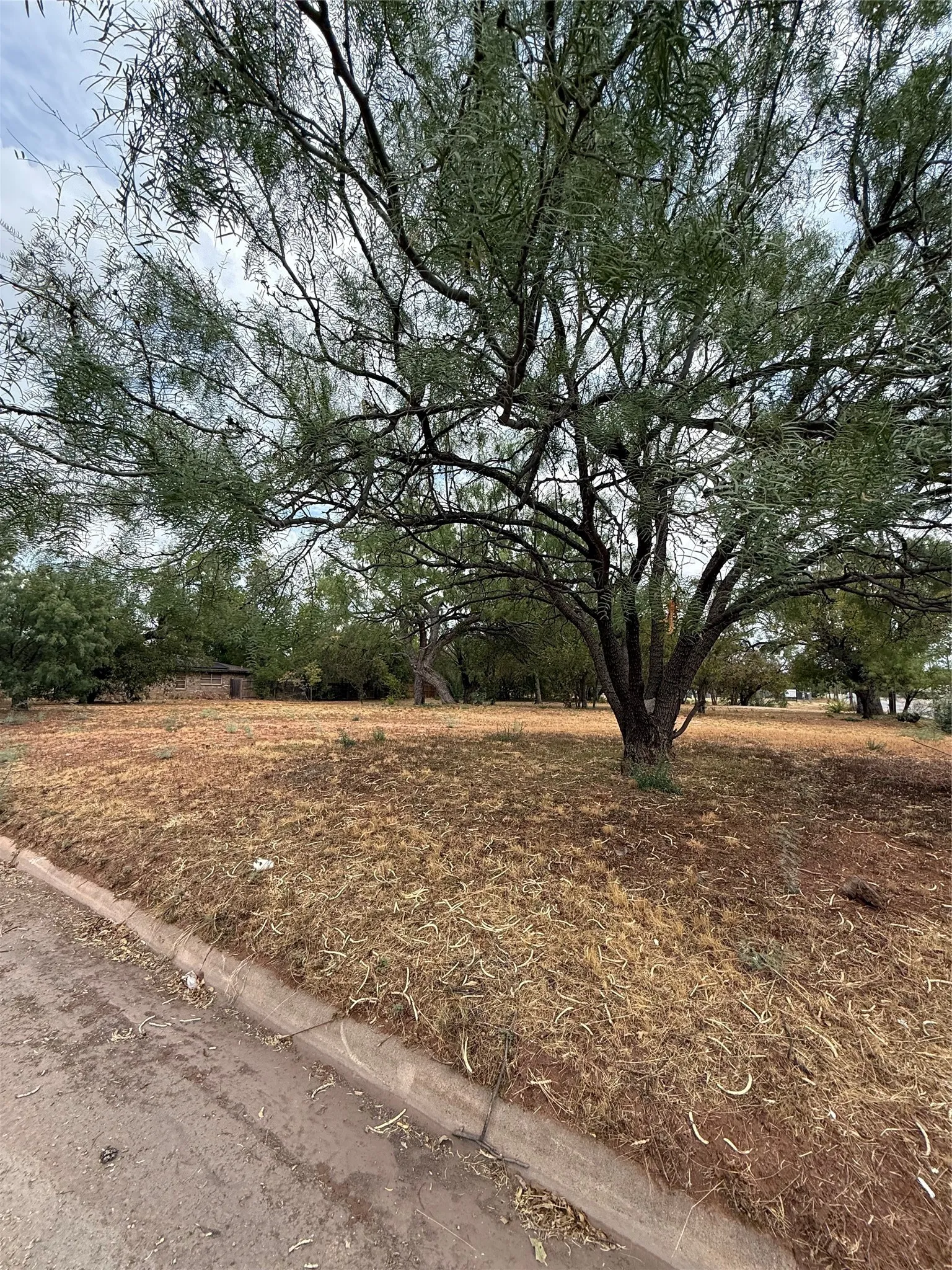 Unimproved Land For Sale in Taylor County , 2332 N 3rd Street, Abilene, Texas 79603, 0, 0, Garage spaces, 0 Sqft, built in 0, mls#21394827, Real Estate Agent in Abilene, Homes For Sale in Taylor county, Homes For Sale in Abilene, Realtor in Abilene Texas, Real Estate Brokerage Independent Realty Texas, Luminita Cordes Realtor