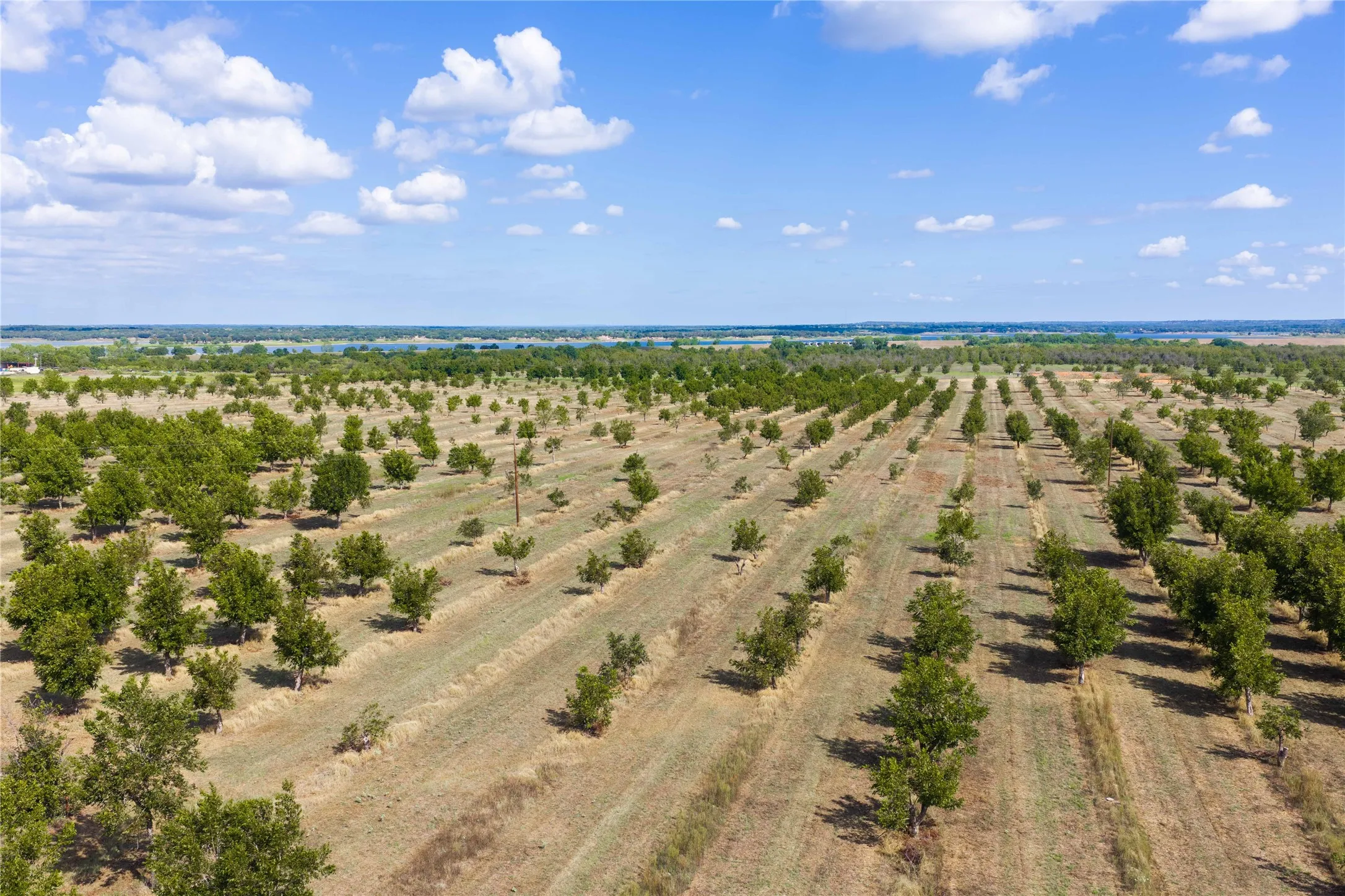 Unimproved Land For Sale in Comanche County , TBD Fm-2861 & CR 418 C, Comanche, Texas 76442, 0, 0, Garage spaces, 0 Sqft, built in 0, mls#21399185, Real Estate Agent in Comanche, Homes For Sale in Comanche county, Homes For Sale in Comanche, Realtor in Comanche Texas, Real Estate Brokerage Independent Realty Texas, Luminita Cordes Realtor