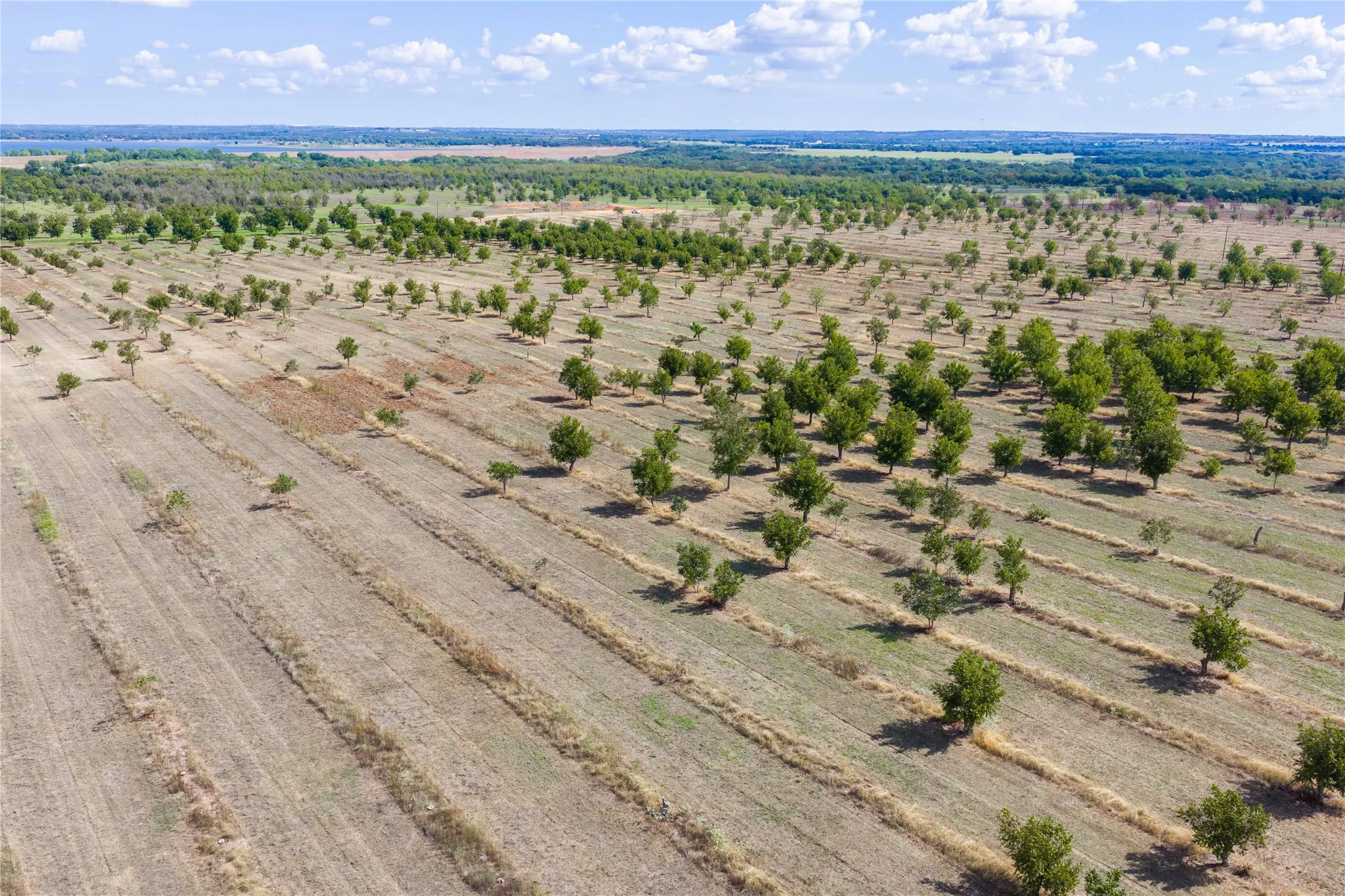 Unimproved Land For Sale in Comanche County , TBD Fm-2861 & CR 418 C, Comanche, Texas 76442, 0, 0, Garage spaces, 0 Sqft, built in 0, mls#21399185, Real Estate Agent in Comanche, Homes For Sale in Comanche county, Homes For Sale in Comanche, Realtor in Comanche Texas, Real Estate Brokerage Independent Realty Texas, Luminita Cordes Realtor