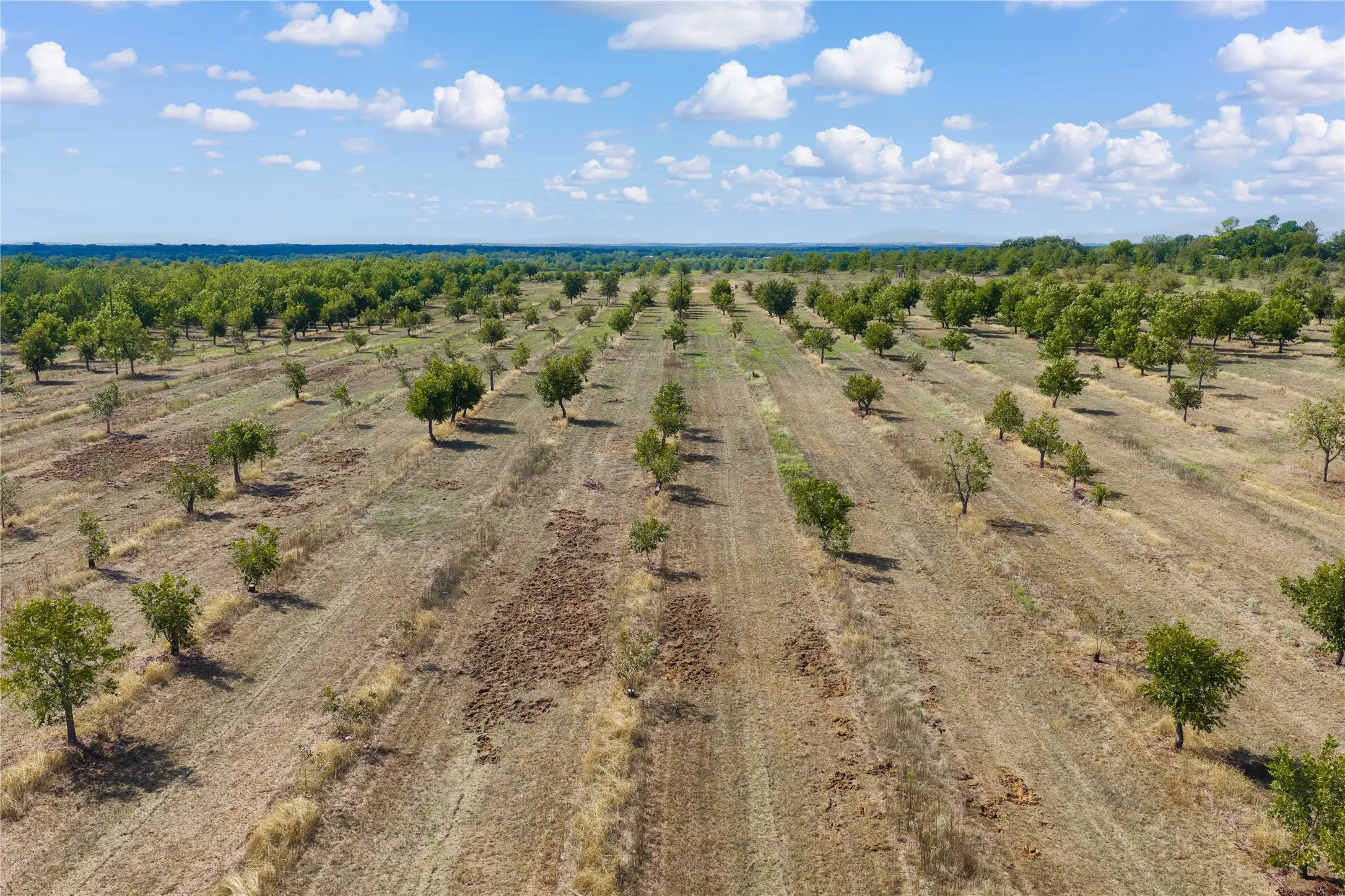 Unimproved Land For Sale in Comanche County , TBD Fm-2861 & CR 418 C, Comanche, Texas 76442, 0, 0, Garage spaces, 0 Sqft, built in 0, mls#21399185, Real Estate Agent in Comanche, Homes For Sale in Comanche county, Homes For Sale in Comanche, Realtor in Comanche Texas, Real Estate Brokerage Independent Realty Texas, Luminita Cordes Realtor
