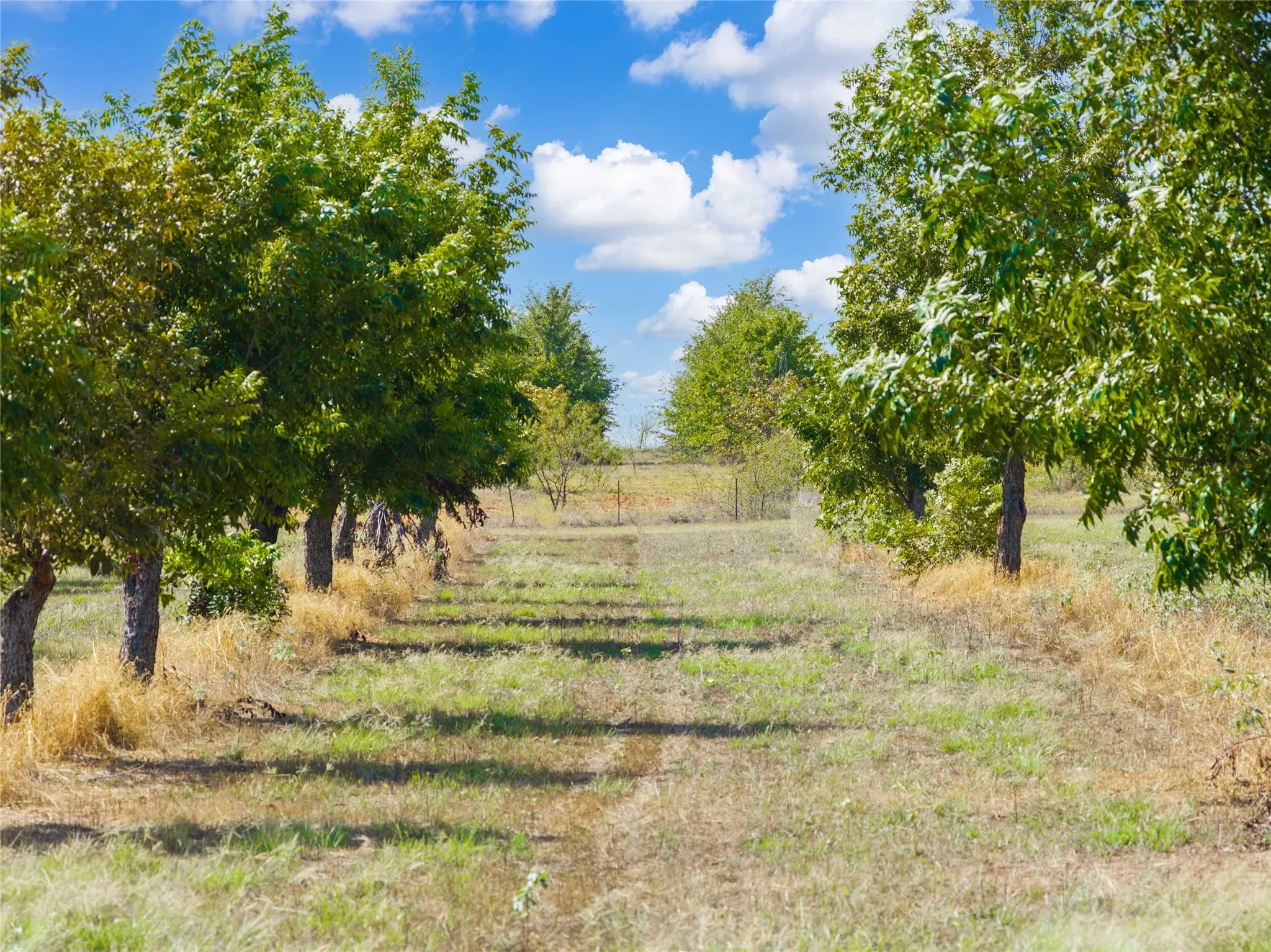 Unimproved Land For Sale in Comanche County , TBD Fm-2861 & CR 418 C, Comanche, Texas 76442, 0, 0, Garage spaces, 0 Sqft, built in 0, mls#21399185, Real Estate Agent in Comanche, Homes For Sale in Comanche county, Homes For Sale in Comanche, Realtor in Comanche Texas, Real Estate Brokerage Independent Realty Texas, Luminita Cordes Realtor