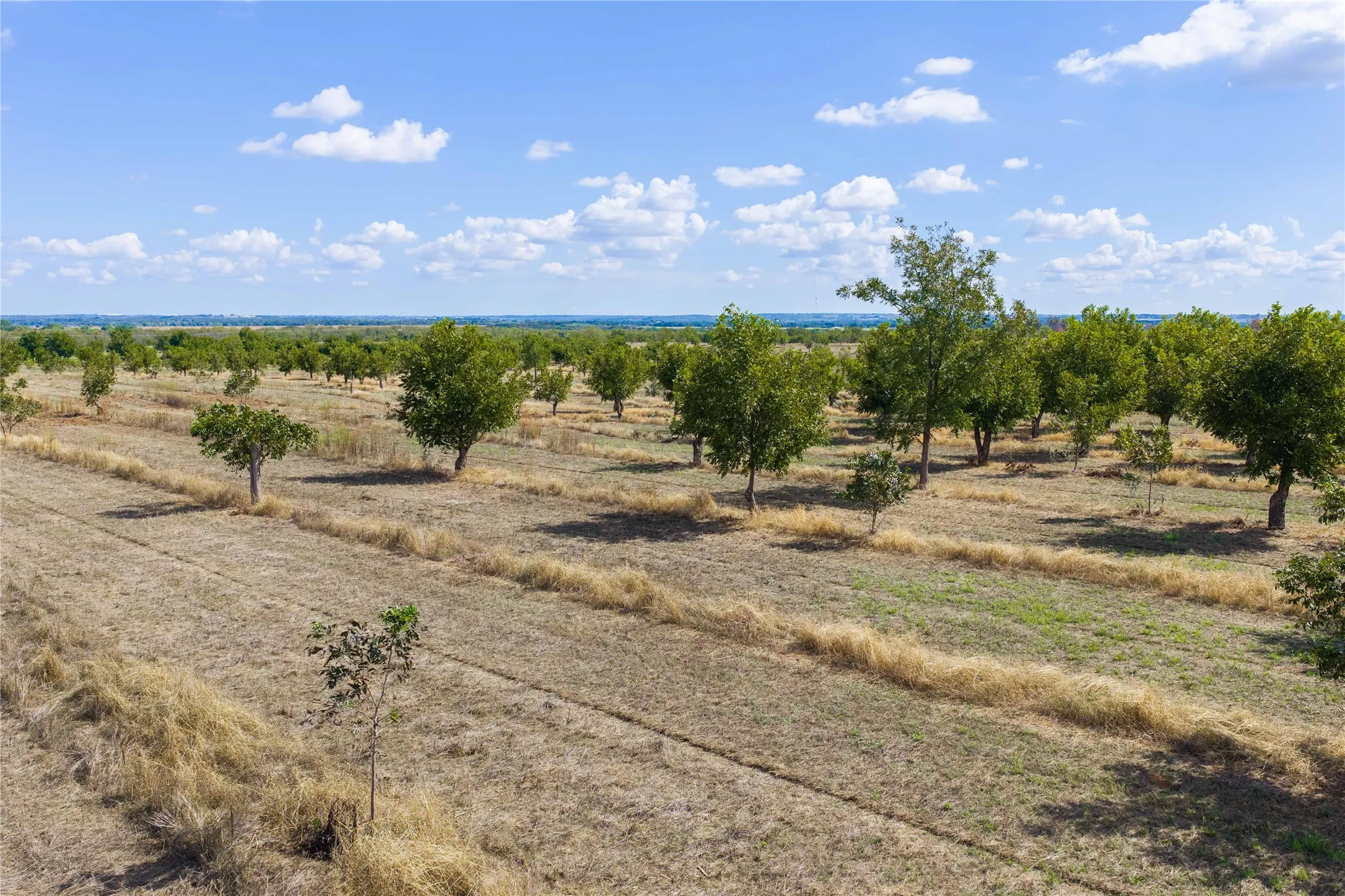 Unimproved Land For Sale in Comanche County , TBD Fm-2861 & CR 418 C, Comanche, Texas 76442, 0, 0, Garage spaces, 0 Sqft, built in 0, mls#21399185, Real Estate Agent in Comanche, Homes For Sale in Comanche county, Homes For Sale in Comanche, Realtor in Comanche Texas, Real Estate Brokerage Independent Realty Texas, Luminita Cordes Realtor