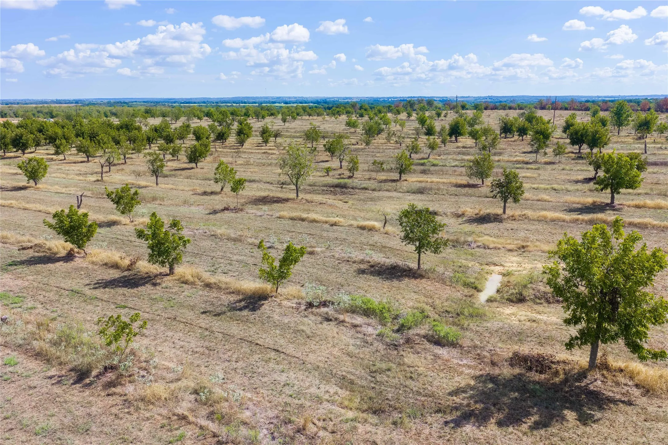 Unimproved Land For Sale in Comanche County , TBD Fm-2861 & CR 418 C, Comanche, Texas 76442, 0, 0, Garage spaces, 0 Sqft, built in 0, mls#21399185, Real Estate Agent in Comanche, Homes For Sale in Comanche county, Homes For Sale in Comanche, Realtor in Comanche Texas, Real Estate Brokerage Independent Realty Texas, Luminita Cordes Realtor