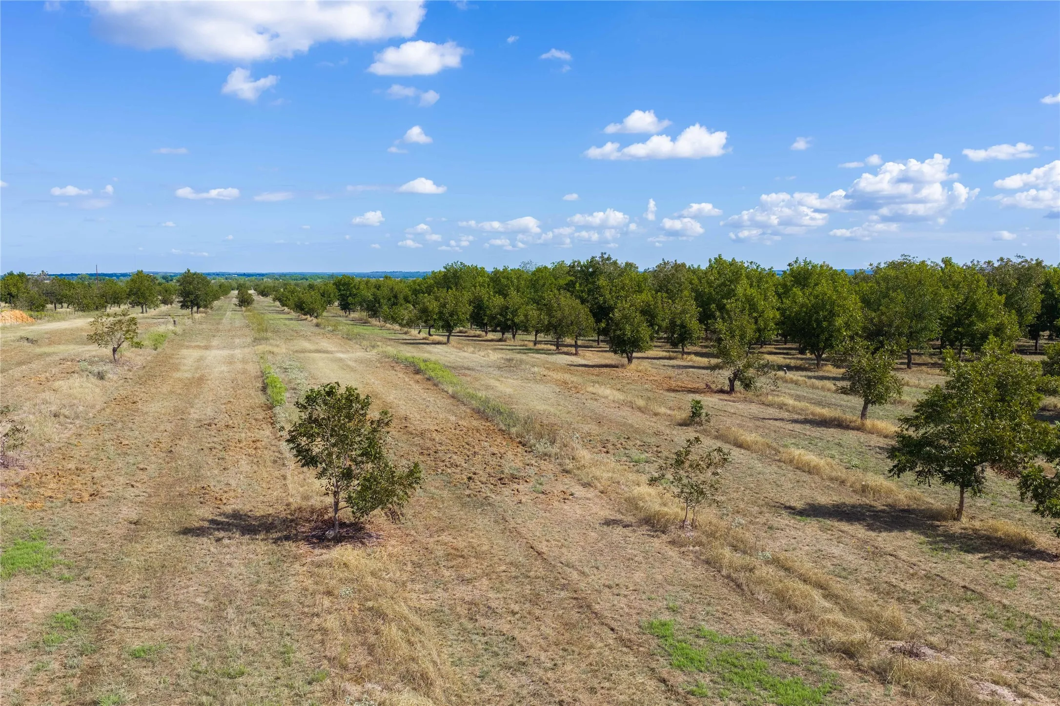 Unimproved Land For Sale in Comanche County , TBD Fm-2861 & CR 418 C, Comanche, Texas 76442, 0, 0, Garage spaces, 0 Sqft, built in 0, mls#21399185, Real Estate Agent in Comanche, Homes For Sale in Comanche county, Homes For Sale in Comanche, Realtor in Comanche Texas, Real Estate Brokerage Independent Realty Texas, Luminita Cordes Realtor
