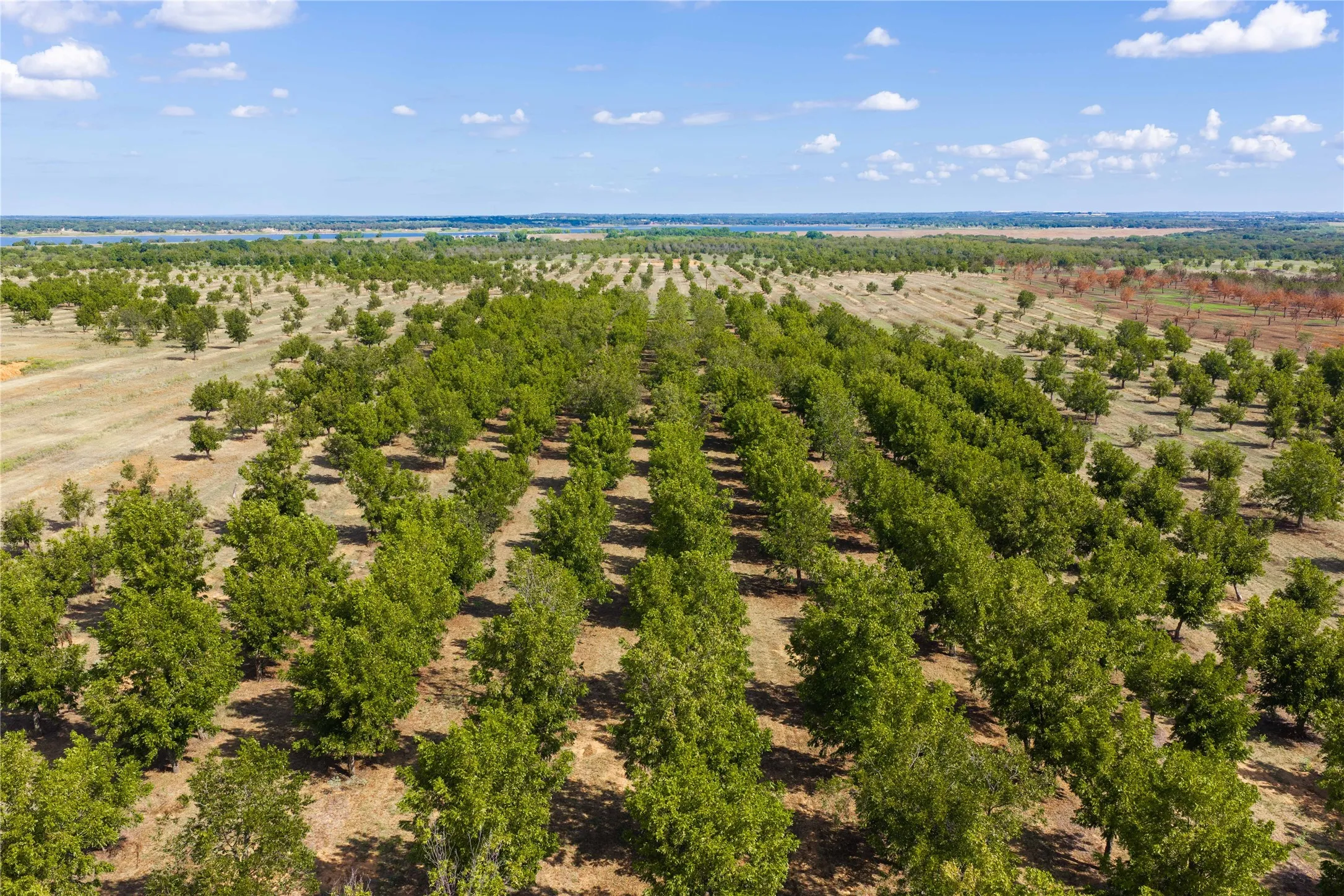 Unimproved Land For Sale in Comanche County , TBD Fm-2861 & CR 418 C, Comanche, Texas 76442, 0, 0, Garage spaces, 0 Sqft, built in 0, mls#21399185, Real Estate Agent in Comanche, Homes For Sale in Comanche county, Homes For Sale in Comanche, Realtor in Comanche Texas, Real Estate Brokerage Independent Realty Texas, Luminita Cordes Realtor