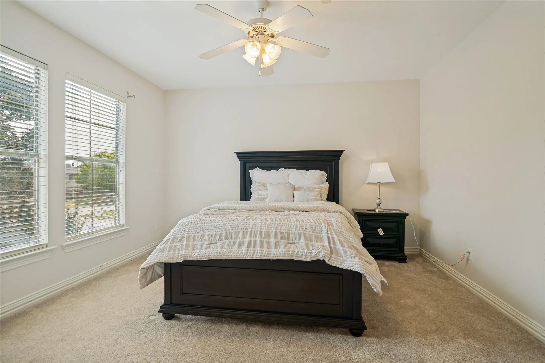 Plush carpet flooring, a ceiling fan with integrated lighting, and two large windows with blinds