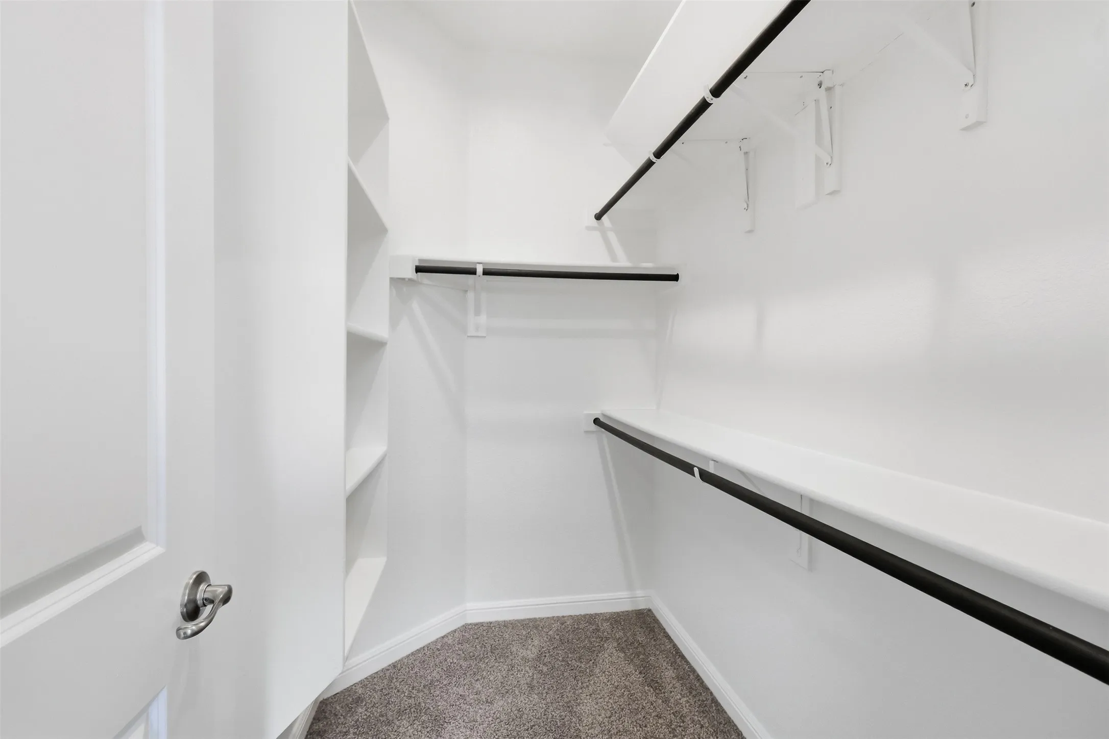 Walk-in closet featuring built-in shelving, white walls, and carpeting