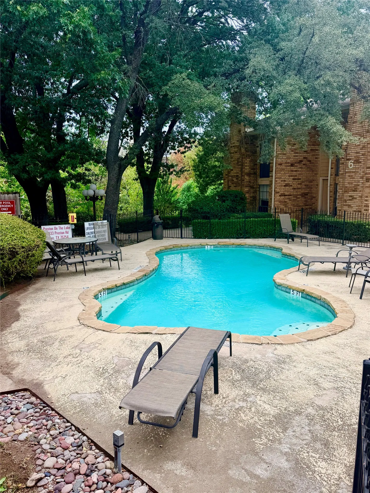 Freeform outdoor pool with stone coping, surrounded by a concrete patio and mature trees