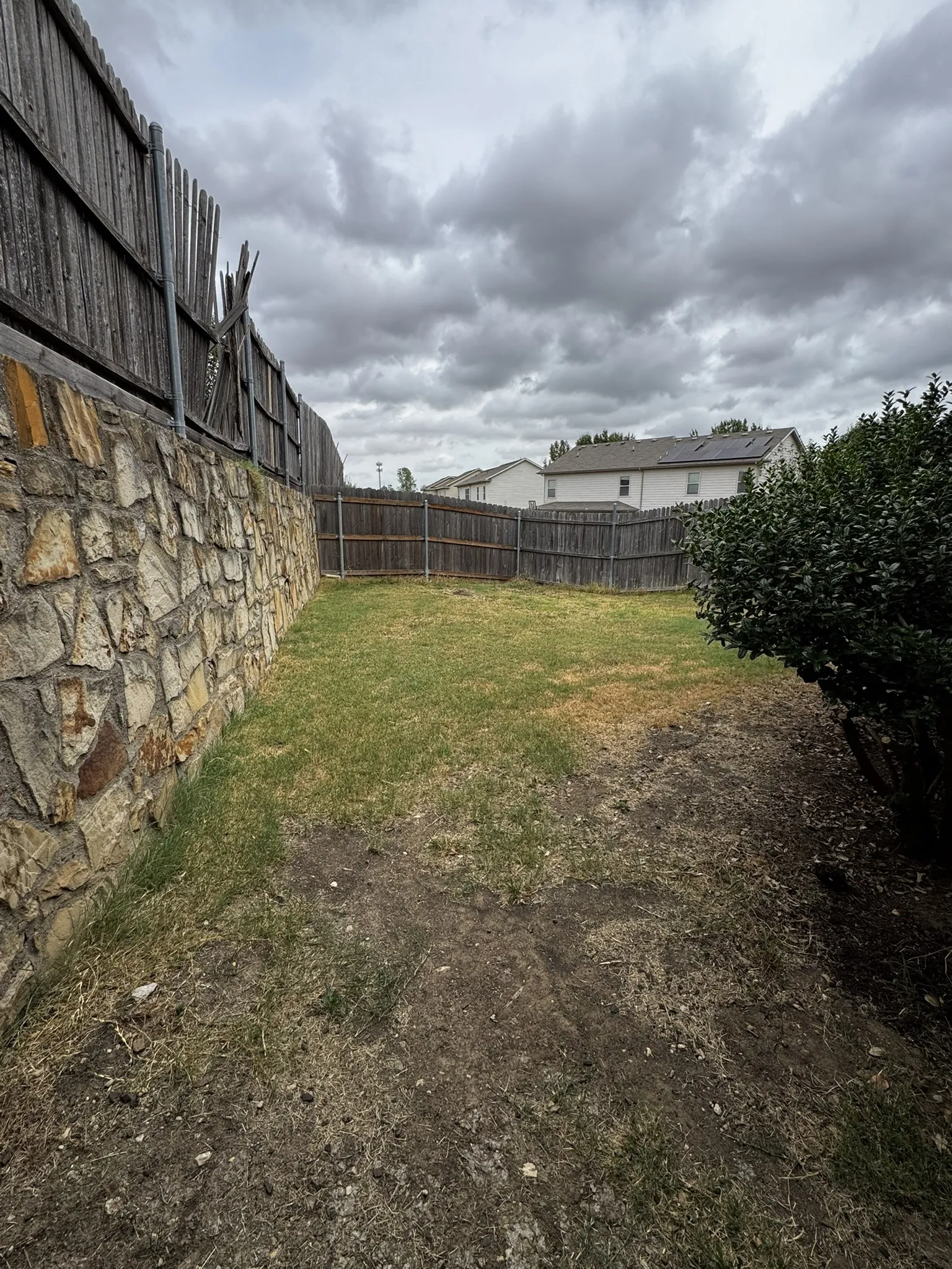 Backyard2