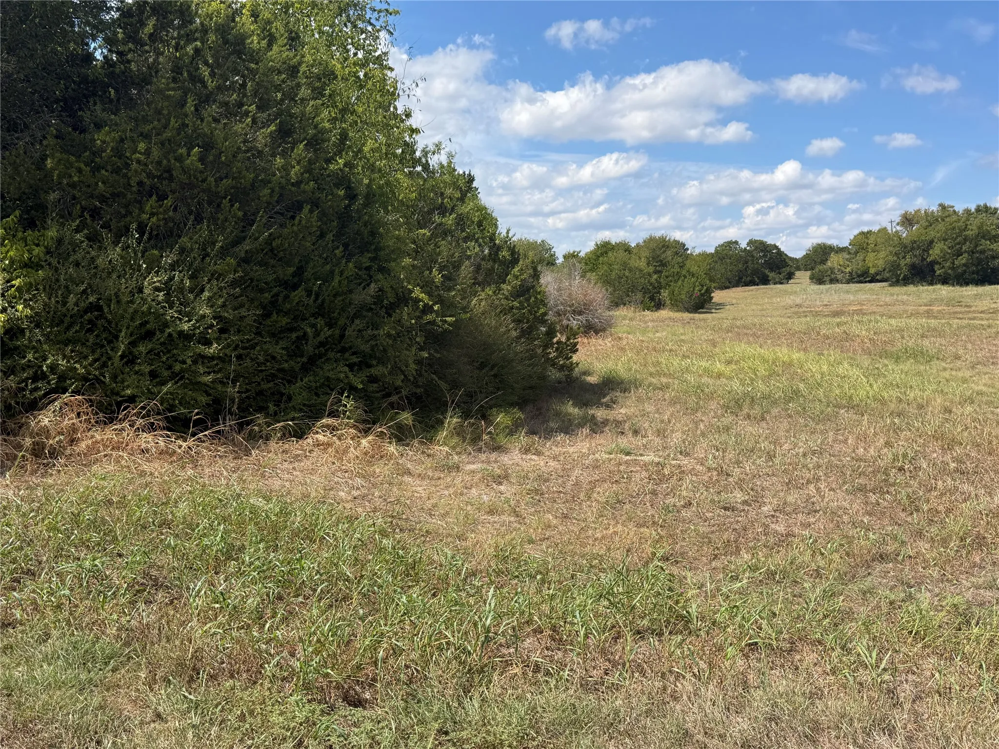 Improved Land For Sale in Johnson County , 7032 Muirfield Drive, Cleburne, Texas 76033, 0, 0, Garage spaces, 0 Sqft, built in 0, mls#21399385, Real Estate Agent in Cleburne, Homes For Sale in Johnson county, Homes For Sale in Cleburne, Realtor in Cleburne Texas, Real Estate Brokerage Independent Realty Texas, Luminita Cordes Realtor
