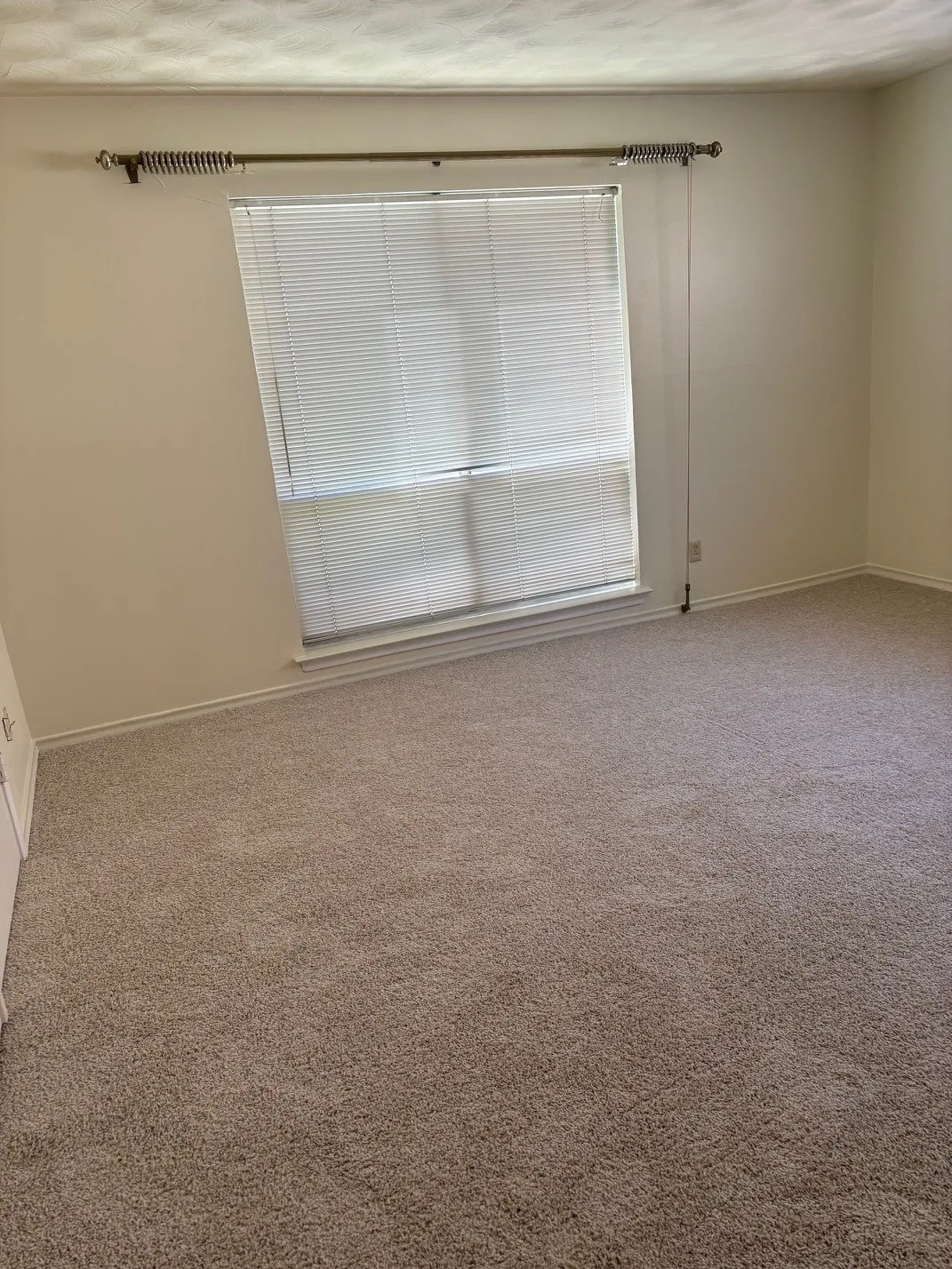 Window with horizontal blinds, neutral wall paint, and wall-to-wall carpeting