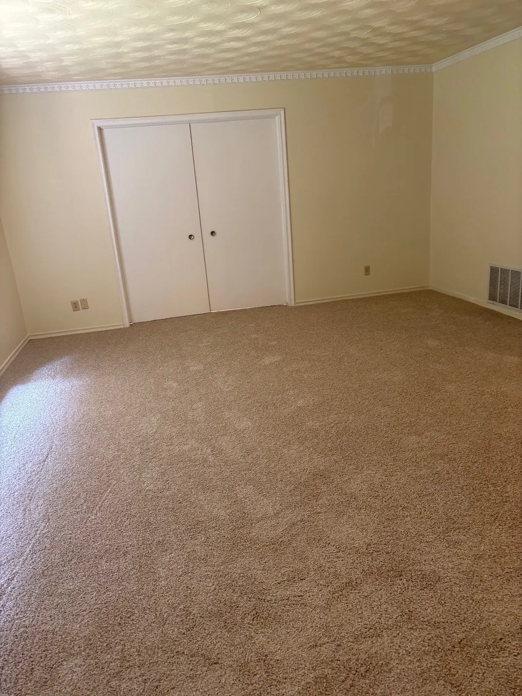 Wall-to-wall carpeting, bi-fold closet doors, crown molding, and textured ceiling