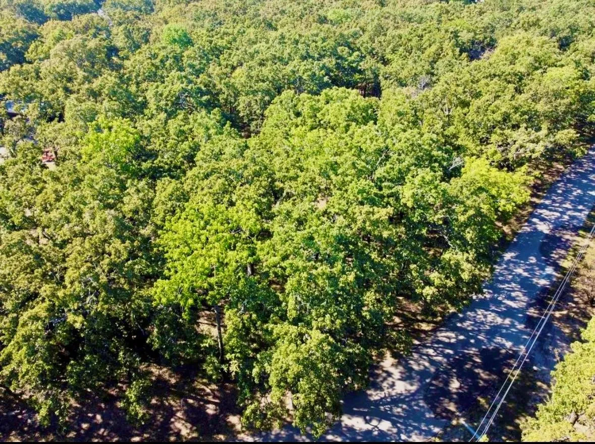 Unimproved Land For Sale in Hunt County , 800 Trosper Trace, Quinlan, Texas 75474, 0, 0, Garage spaces, 0 Sqft, built in 0, mls#21399406, Real Estate Agent in Quinlan, Homes For Sale in Hunt county, Homes For Sale in Quinlan, Realtor in Quinlan Texas, Real Estate Brokerage Independent Realty Texas, Luminita Cordes Realtor