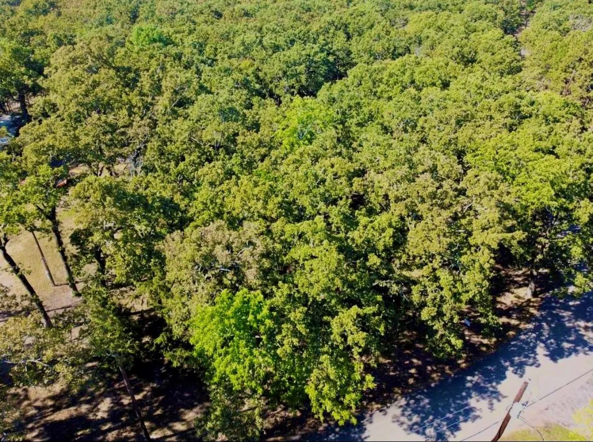 Unimproved Land For Sale in Hunt County , 800 Trosper Trace, Quinlan, Texas 75474, 0, 0, Garage spaces, 0 Sqft, built in 0, mls#21399406, Real Estate Agent in Quinlan, Homes For Sale in Hunt county, Homes For Sale in Quinlan, Realtor in Quinlan Texas, Real Estate Brokerage Independent Realty Texas, Luminita Cordes Realtor