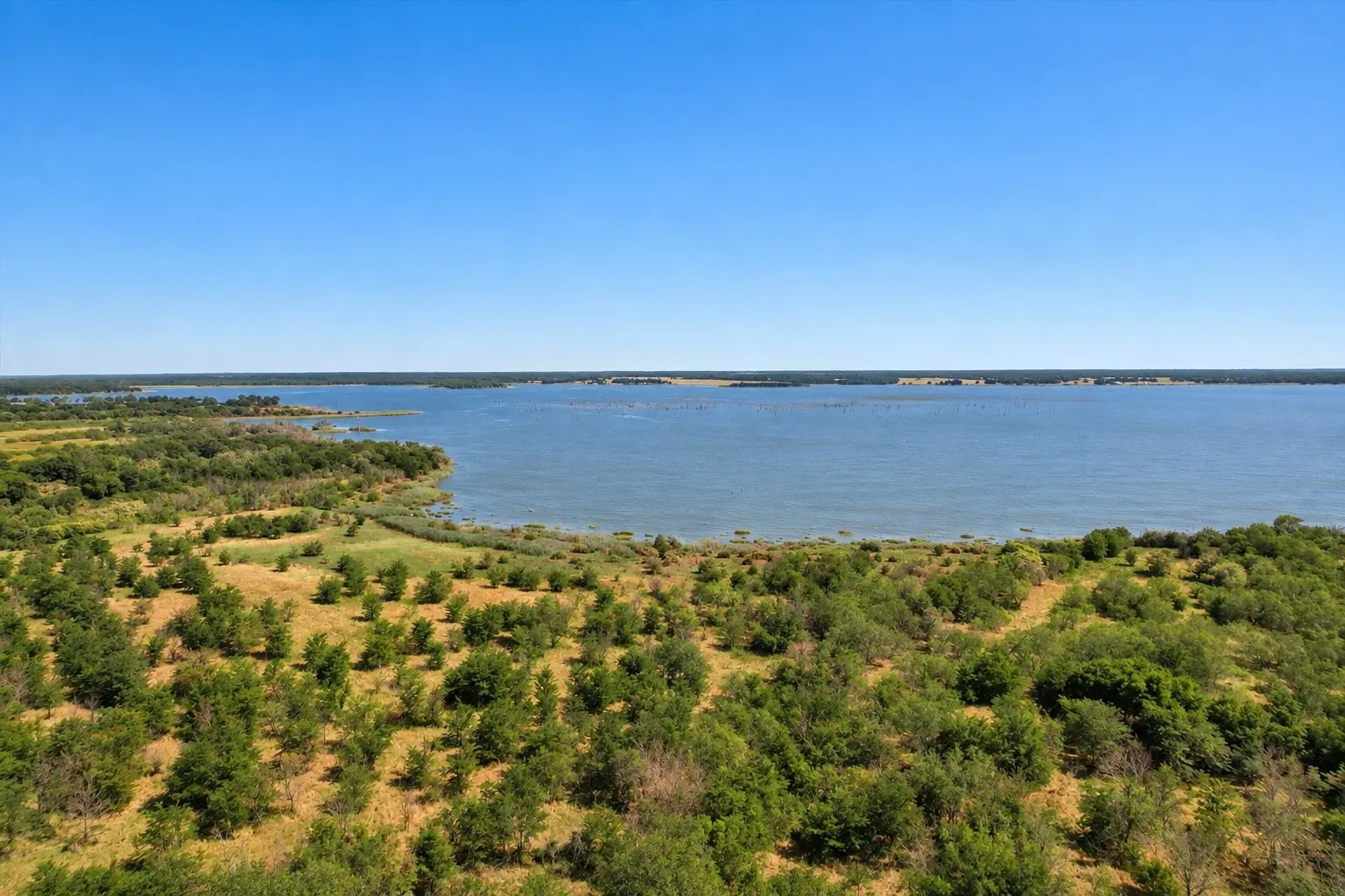 Unimproved Land For Sale in Navarro County , 3337 SE County Road 1200, Streetman, Texas 75859, 0, 0, Garage spaces, 0 Sqft, built in 0, mls#21398494, Real Estate Agent in Streetman, Homes For Sale in Navarro county, Homes For Sale in Streetman, Realtor in Streetman Texas, Real Estate Brokerage Independent Realty Texas, Luminita Cordes Realtor