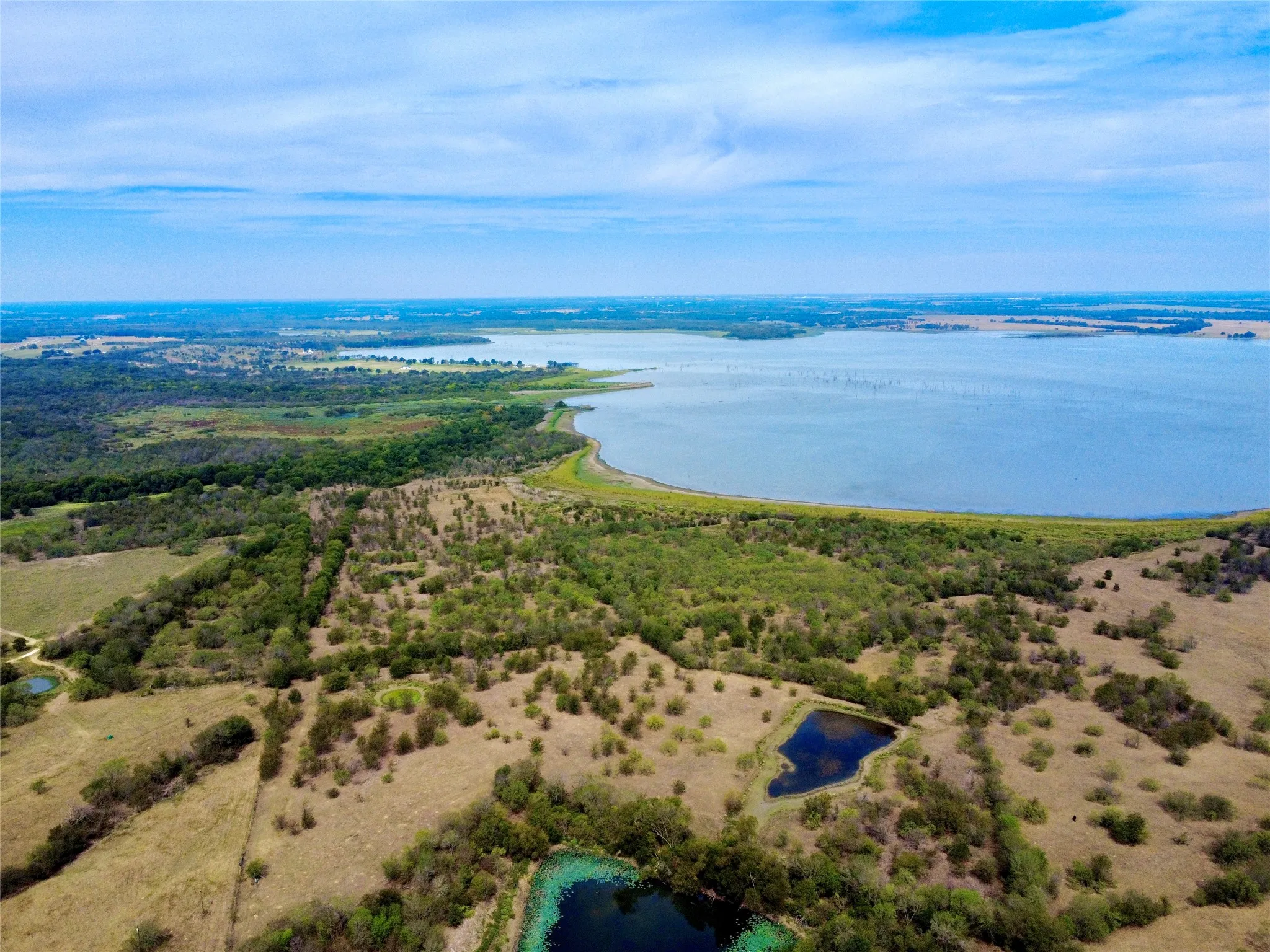 Unimproved Land For Sale in Navarro County , 3337 SE County Road 1200, Streetman, Texas 75859, 0, 0, Garage spaces, 0 Sqft, built in 0, mls#21398494, Real Estate Agent in Streetman, Homes For Sale in Navarro county, Homes For Sale in Streetman, Realtor in Streetman Texas, Real Estate Brokerage Independent Realty Texas, Luminita Cordes Realtor