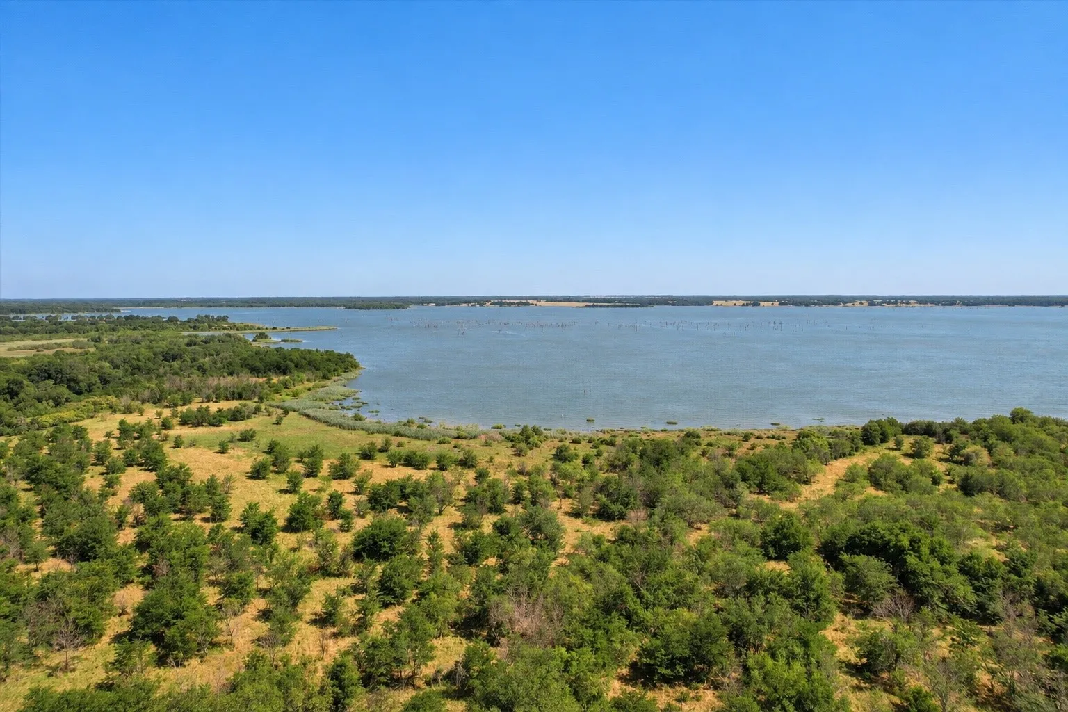 Unimproved Land For Sale in Navarro County , 3337 SE County Road 1200, Streetman, Texas 75859, 0, 0, Garage spaces, 0 Sqft, built in 0, mls#21398494, Real Estate Agent in Streetman, Homes For Sale in Navarro county, Homes For Sale in Streetman, Realtor in Streetman Texas, Real Estate Brokerage Independent Realty Texas, Luminita Cordes Realtor