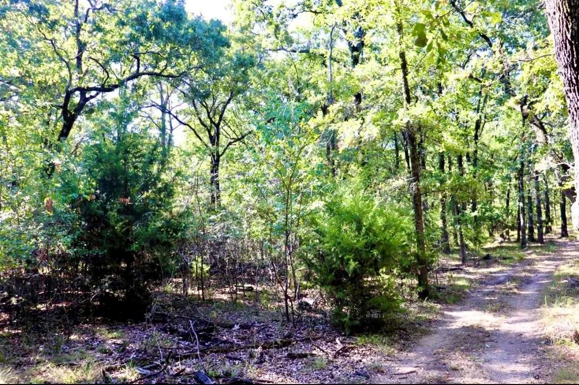 Unimproved Land For Sale in Hunt County , 804 Trosper Trace, Quinlan, Texas 75474, 0, 0, Garage spaces, 0 Sqft, built in 0, mls#21399412, Real Estate Agent in Quinlan, Homes For Sale in Hunt county, Homes For Sale in Quinlan, Realtor in Quinlan Texas, Real Estate Brokerage Independent Realty Texas, Luminita Cordes Realtor