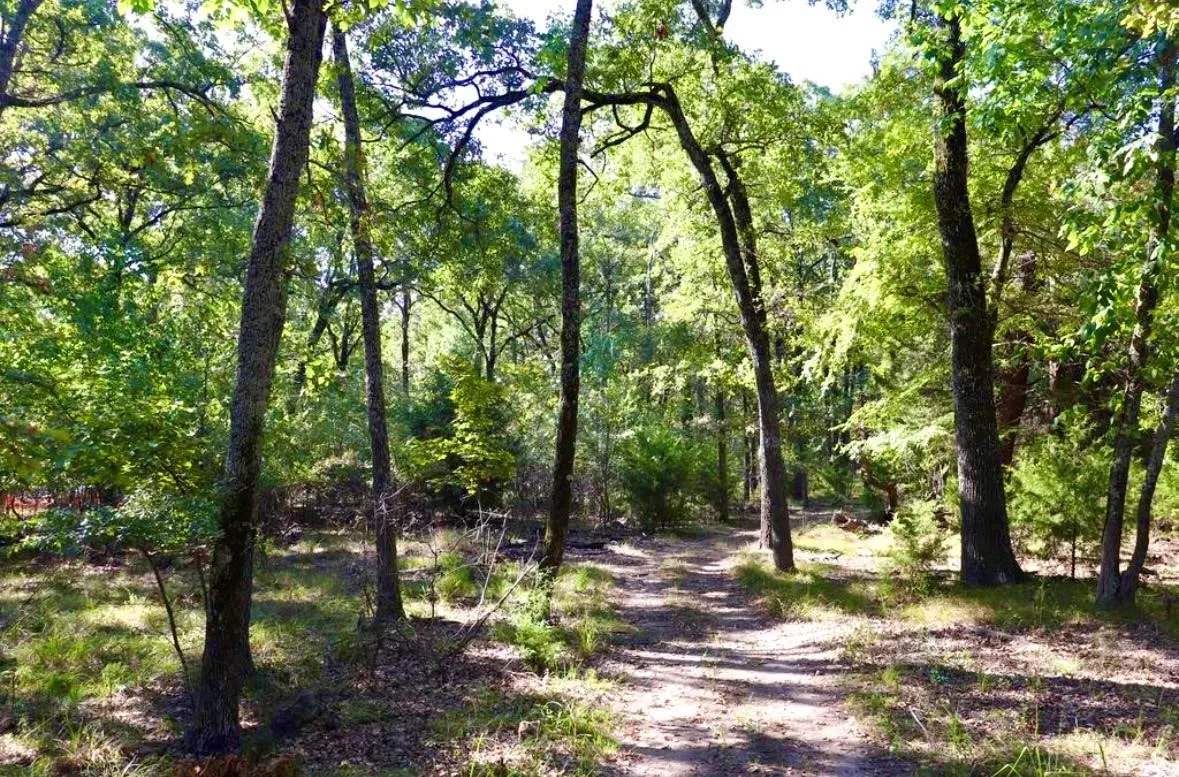 Unimproved Land For Sale in Hunt County , 804 Trosper Trace, Quinlan, Texas 75474, 0, 0, Garage spaces, 0 Sqft, built in 0, mls#21399412, Real Estate Agent in Quinlan, Homes For Sale in Hunt county, Homes For Sale in Quinlan, Realtor in Quinlan Texas, Real Estate Brokerage Independent Realty Texas, Luminita Cordes Realtor