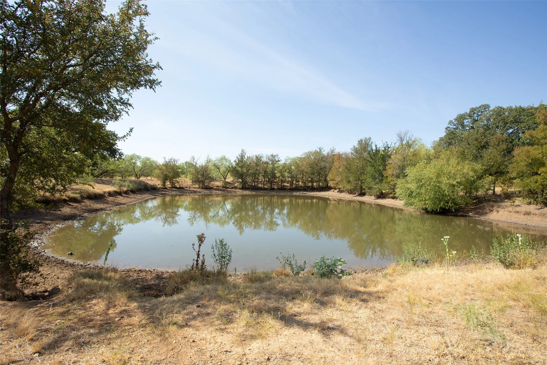 Pond featuring clear reflections and a perimeter of mature trees