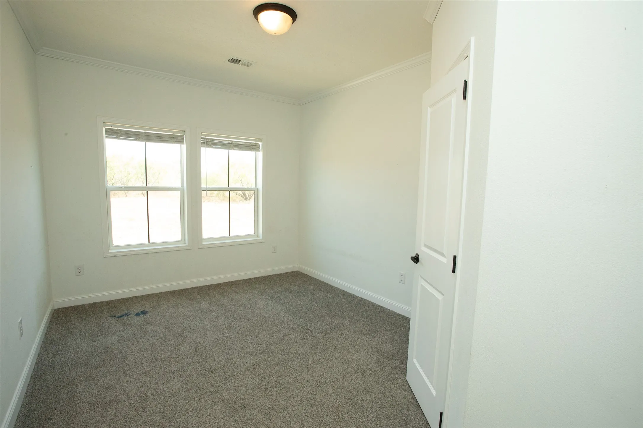 Spacious room with crown molding, plush carpet, two windows, and a flush mount ceiling light