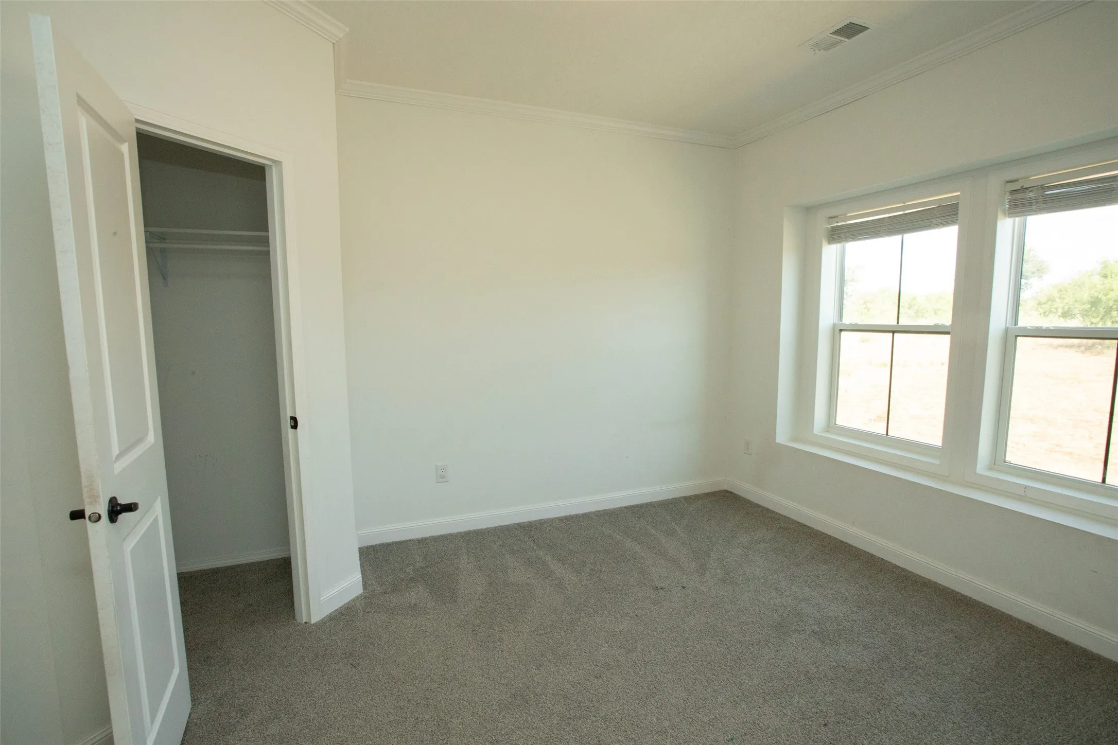 Neutral-toned carpeting, white walls, and white trim