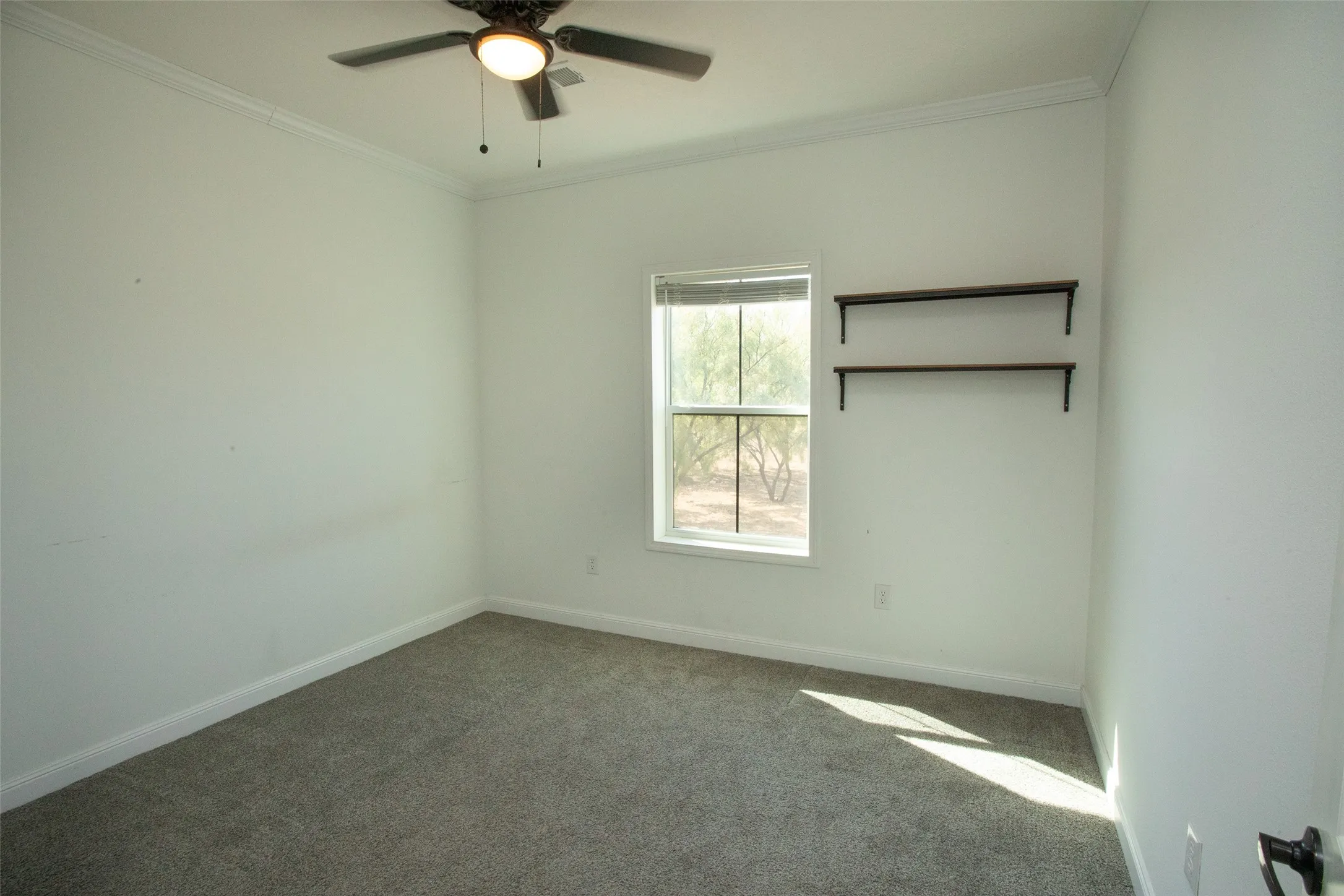 Neutral wall paint, ceiling fan with integrated lighting, window with exterior scenery, and wall-mounted shelving