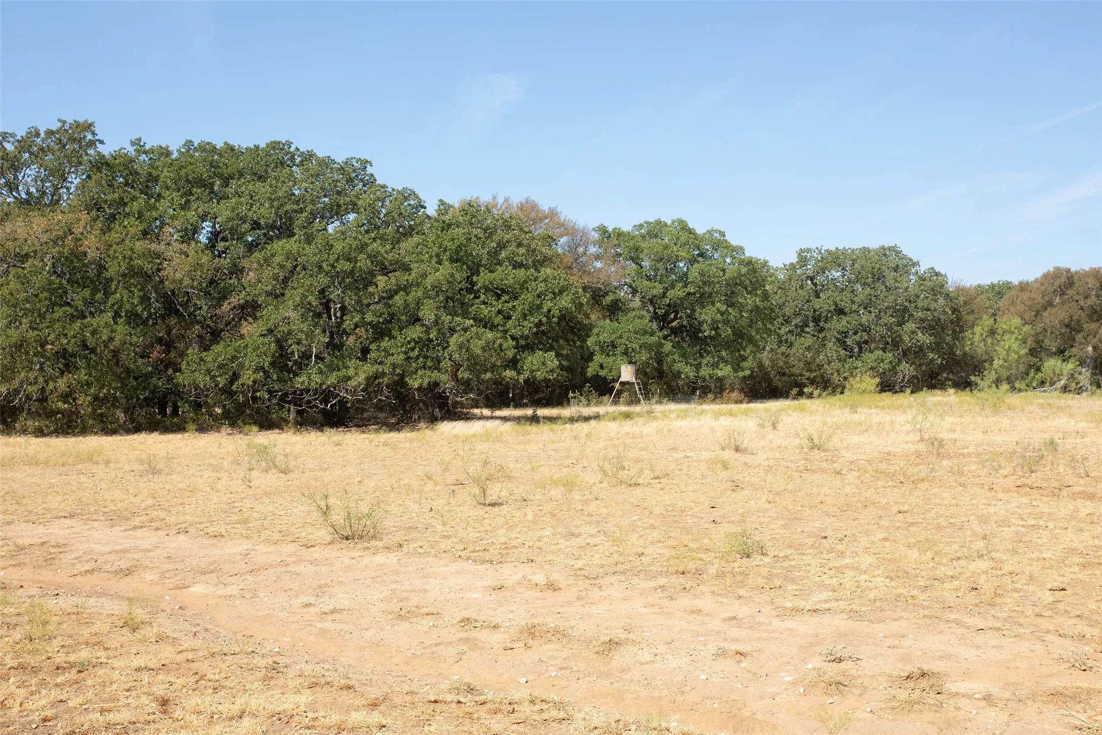 Expansive natural terrain featuring mature trees and a clear sky