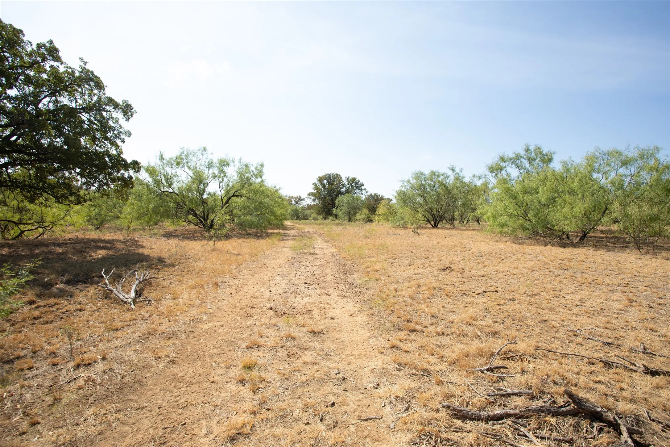 Expansive land offering diverse foliage, a clear path, and natural terrain