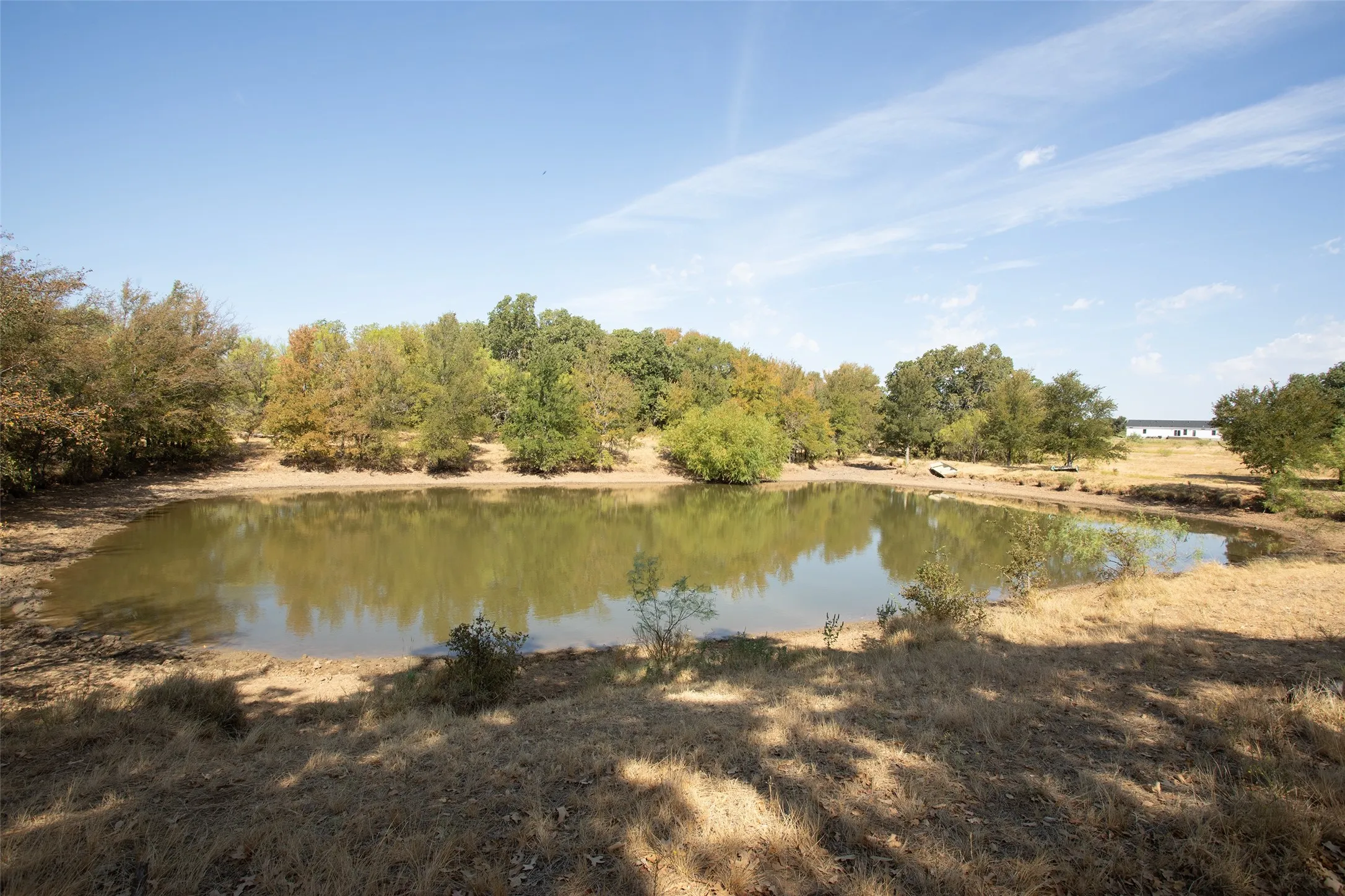 Natural pond feature surrounded by established trees and open land