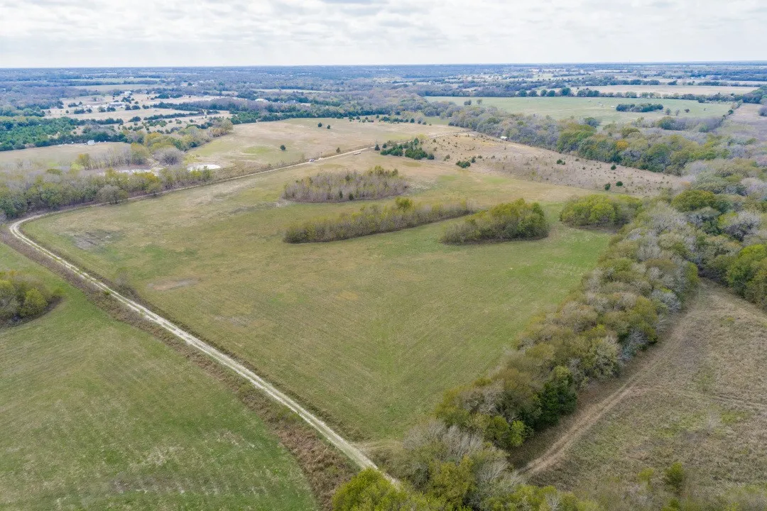 Unimproved Land For Sale in Fannin County , 0 County Road 4510, Trenton, Texas 75490, 0, 0, Garage spaces, 0 Sqft, built in 0, mls#21399315, Real Estate Agent in Trenton, Homes For Sale in Fannin county, Homes For Sale in Trenton, Realtor in Trenton Texas, Real Estate Brokerage Independent Realty Texas, Luminita Cordes Realtor