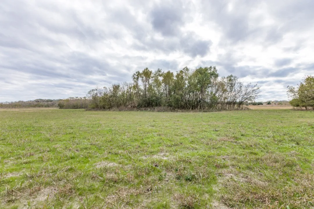Unimproved Land For Sale in Fannin County , 0 County Road 4510, Trenton, Texas 75490, 0, 0, Garage spaces, 0 Sqft, built in 0, mls#21399315, Real Estate Agent in Trenton, Homes For Sale in Fannin county, Homes For Sale in Trenton, Realtor in Trenton Texas, Real Estate Brokerage Independent Realty Texas, Luminita Cordes Realtor