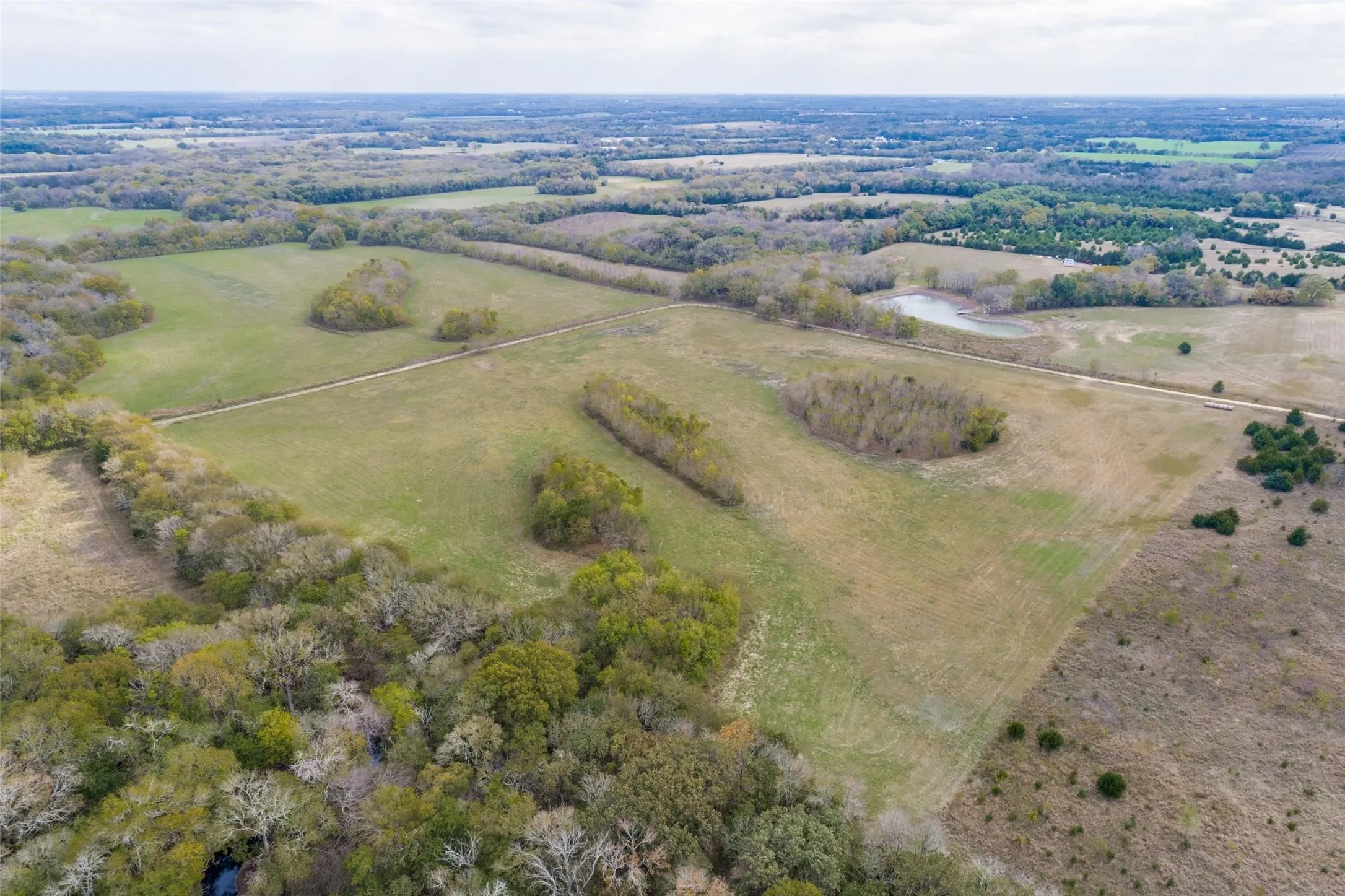 Unimproved Land For Sale in Fannin County , 0 County Road 4510, Trenton, Texas 75490, 0, 0, Garage spaces, 0 Sqft, built in 0, mls#21399315, Real Estate Agent in Trenton, Homes For Sale in Fannin county, Homes For Sale in Trenton, Realtor in Trenton Texas, Real Estate Brokerage Independent Realty Texas, Luminita Cordes Realtor