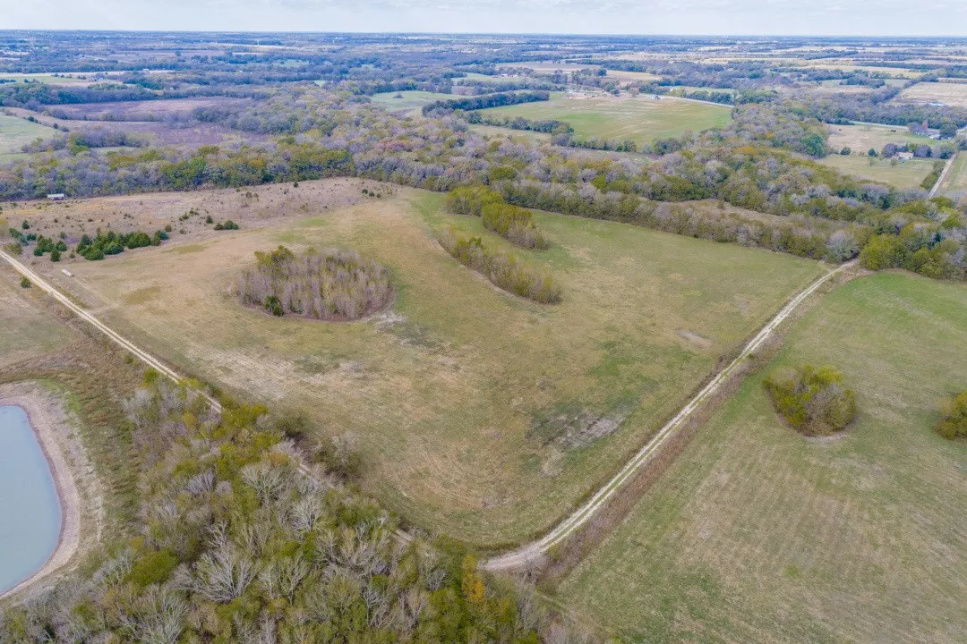 Unimproved Land For Sale in Fannin County , 0 County Road 4510, Trenton, Texas 75490, 0, 0, Garage spaces, 0 Sqft, built in 0, mls#21399315, Real Estate Agent in Trenton, Homes For Sale in Fannin county, Homes For Sale in Trenton, Realtor in Trenton Texas, Real Estate Brokerage Independent Realty Texas, Luminita Cordes Realtor