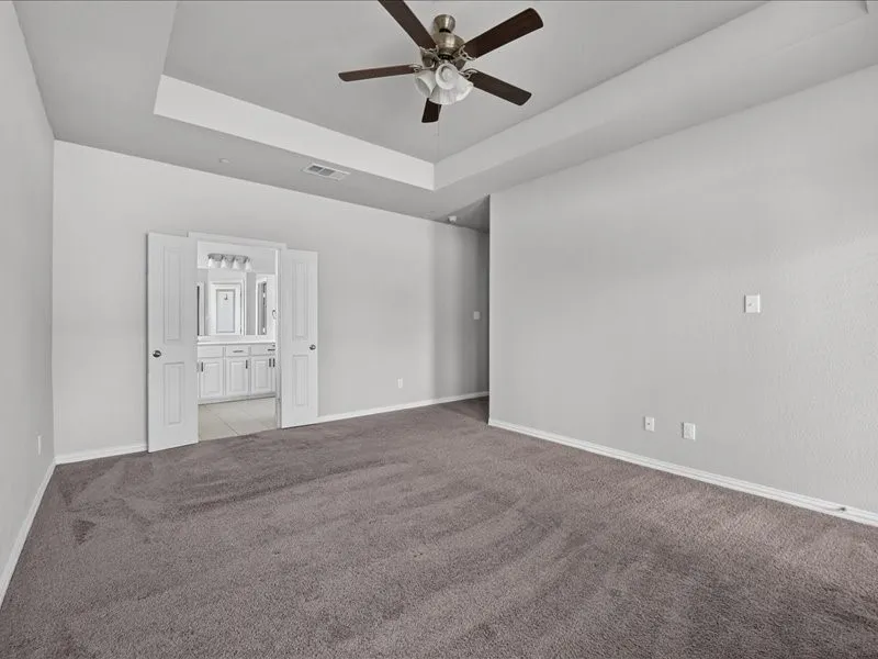 Tray ceiling, ceiling fan, plush carpet, double doors, vanity with dual sinks