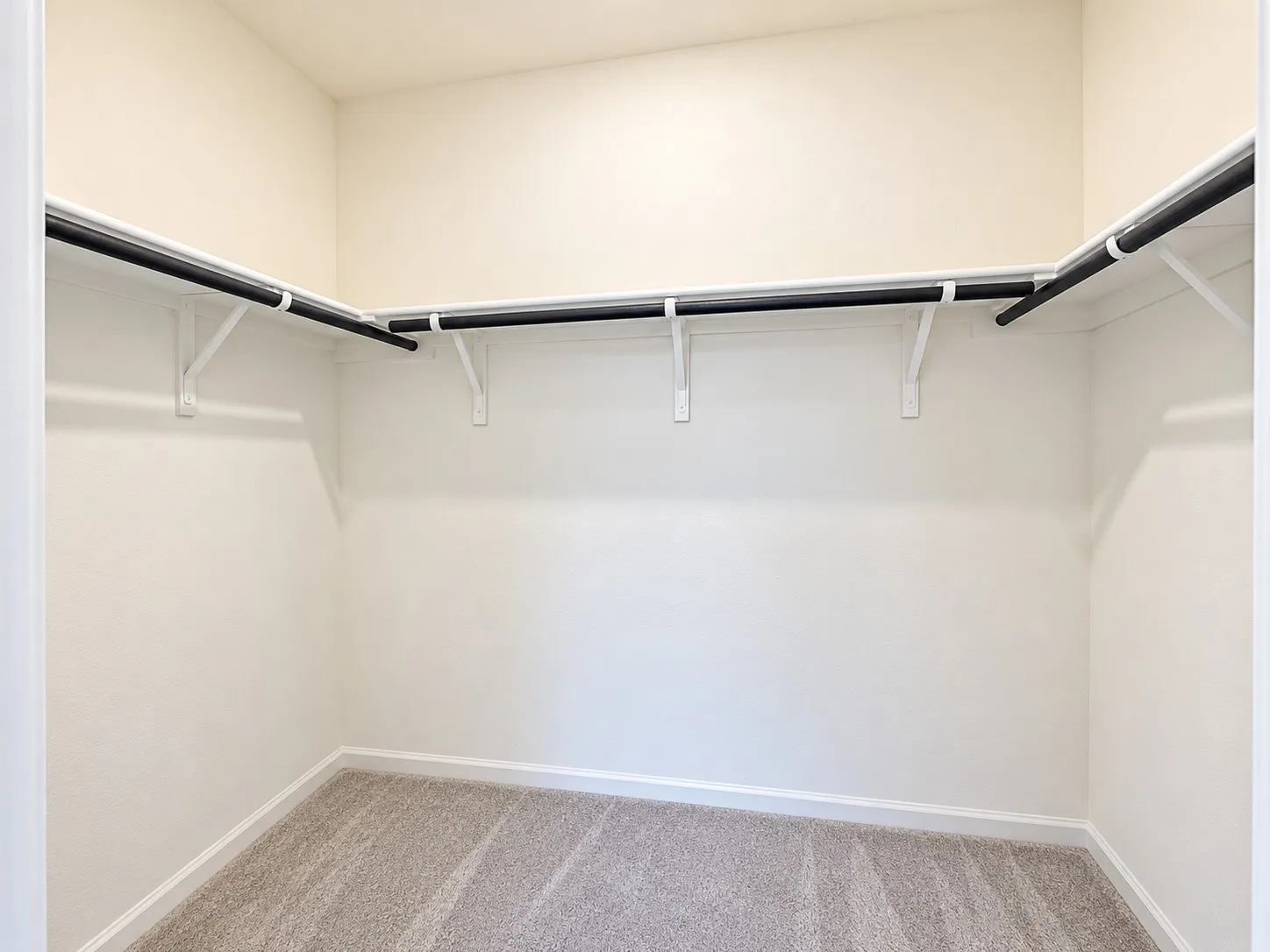 Walk-in closet featuring carpet flooring, built-in shelving, and hanging rods