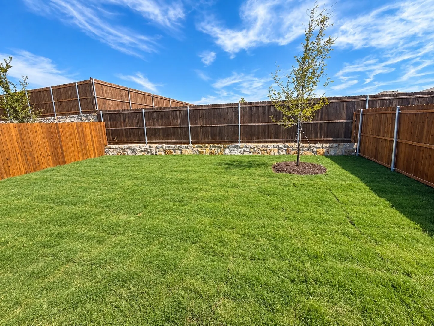 Expansive green lawn with a newly planted tree, bordered by a wooden privacy fence, and a stone retaining wall