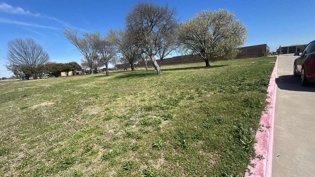 Unimproved Land For Sale in Collin County , 1724 Fannin Road, Melissa, Texas 75454, 0, 0, Garage spaces, 0 Sqft, built in 0, mls#21399489, Real Estate Agent in Melissa, Homes For Sale in Collin county, Homes For Sale in Melissa, Realtor in Melissa Texas, Real Estate Brokerage Independent Realty Texas, Luminita Cordes Realtor