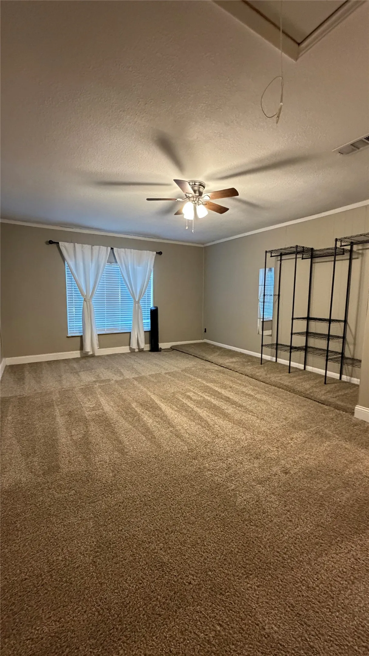 Carpeted flooring, ceiling fan, crown molding, window with blinds