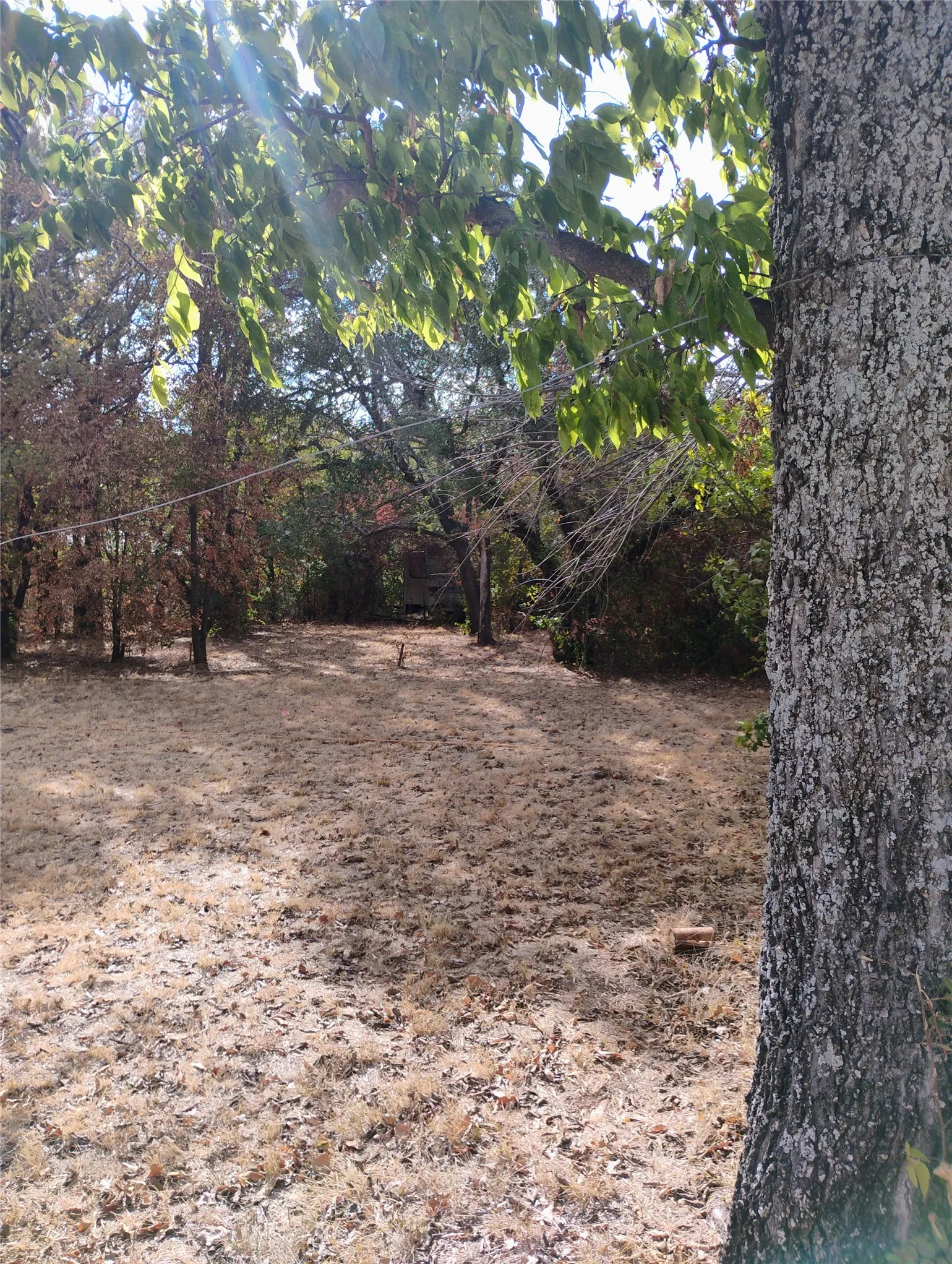This is the lot next door also for sale.