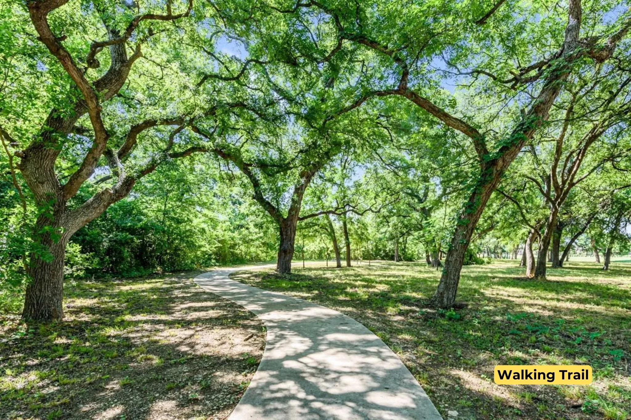 Single Family Residence For Rent in Denton County , 1201 Misty Ridge Drive, Justin, Texas 76247, 4 Bedroom, 2 Bathroom, 2 Garage spaces, 2,314 Sqft, built in 2020, mls#21398253, Real Estate Agent in Justin, Homes For Rent in Denton county, Homes For Rent in Justin, Realtor in Justin Texas, Real Estate Brokerage Independent Realty Texas, Luminita Cordes Realtor