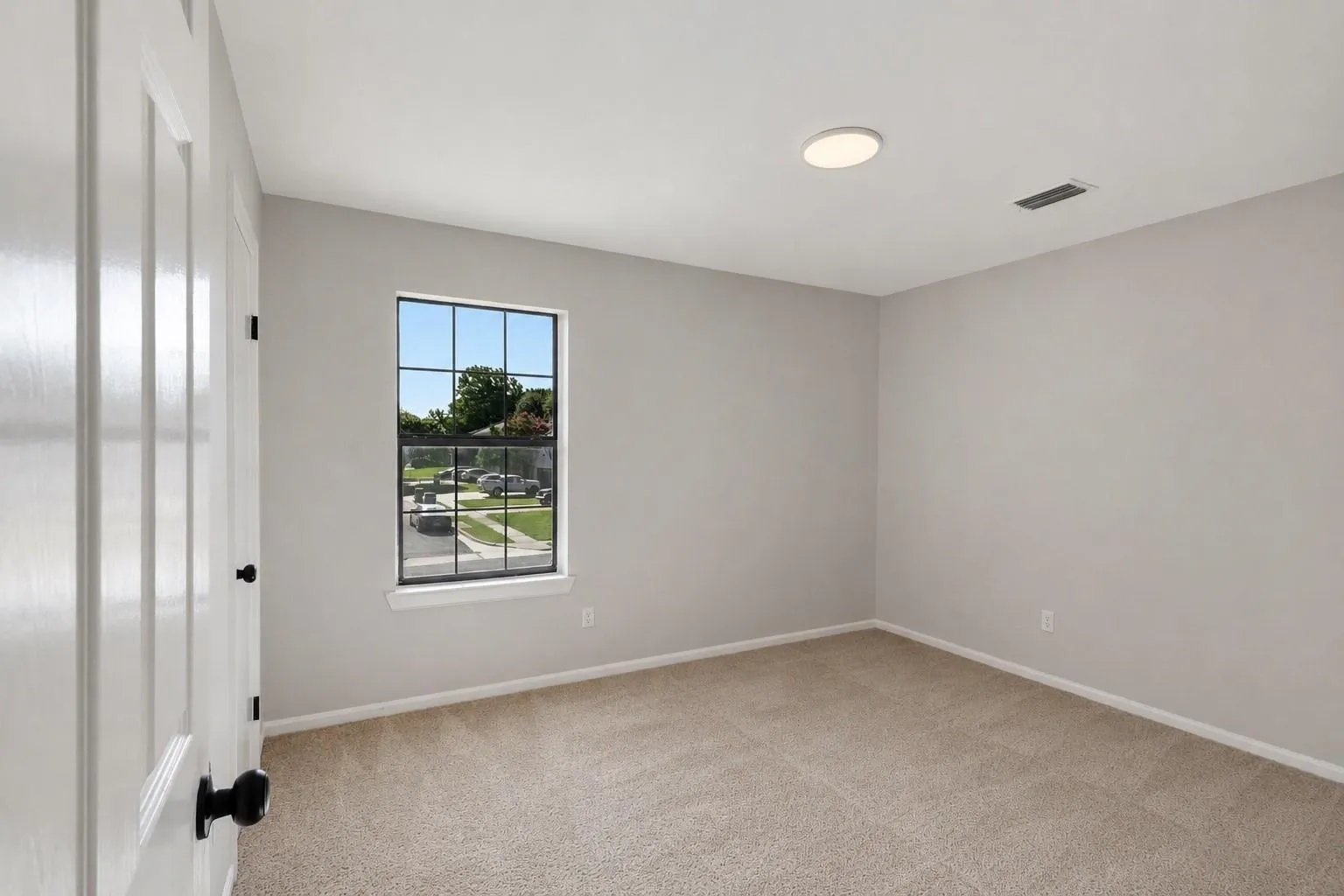 Neutral wall paint, carpeted flooring, window with grid, and ceiling-mounted light fixture