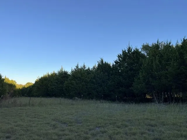 Expansive undeveloped land featuring mature trees and a clear sky backdrop
