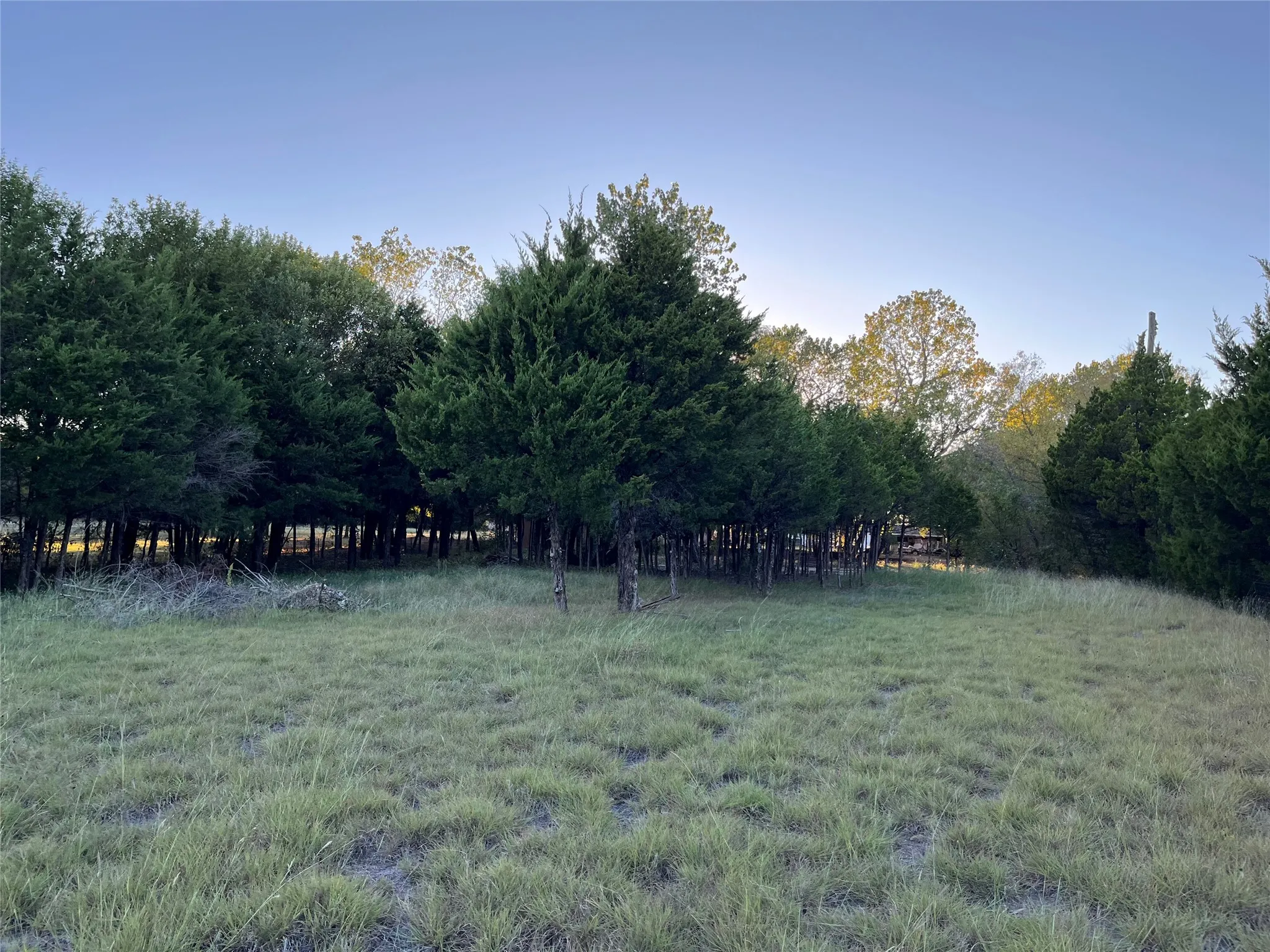 Expansive lot featuring mature trees and natural landscaping