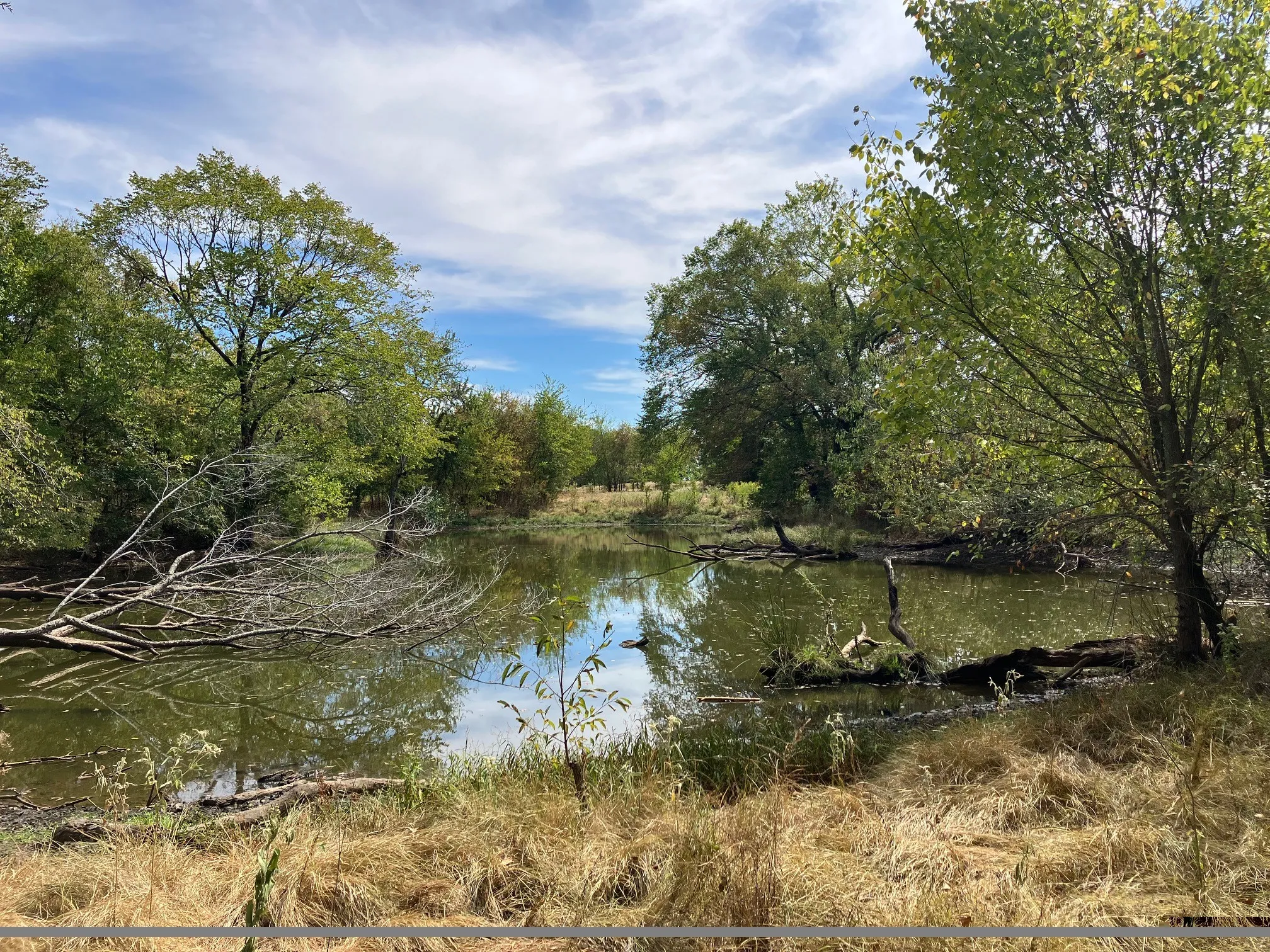 Unimproved Land For Sale in Hopkins County , TBD County Road 4758, Sulphur Springs, Texas 75482, 0, 0, Garage spaces, 0 Sqft, built in 0, mls#21399617, Real Estate Agent in Sulphur Springs, Homes For Sale in Hopkins county, Homes For Sale in Sulphur Springs, Realtor in Sulphur Springs Texas, Real Estate Brokerage Independent Realty Texas, Luminita Cordes Realtor