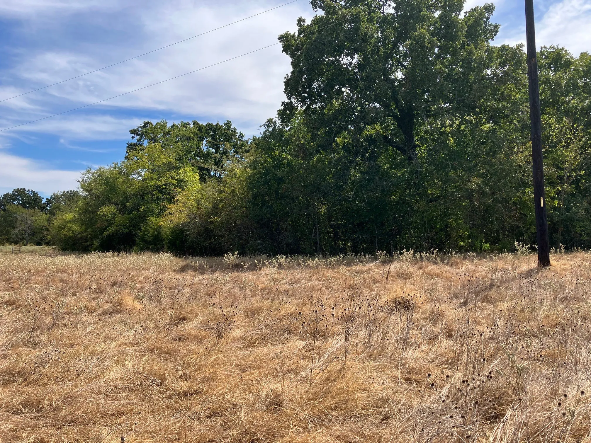 Unimproved Land For Sale in Hopkins County , TBD County Road 4758, Sulphur Springs, Texas 75482, 0, 0, Garage spaces, 0 Sqft, built in 0, mls#21399617, Real Estate Agent in Sulphur Springs, Homes For Sale in Hopkins county, Homes For Sale in Sulphur Springs, Realtor in Sulphur Springs Texas, Real Estate Brokerage Independent Realty Texas, Luminita Cordes Realtor