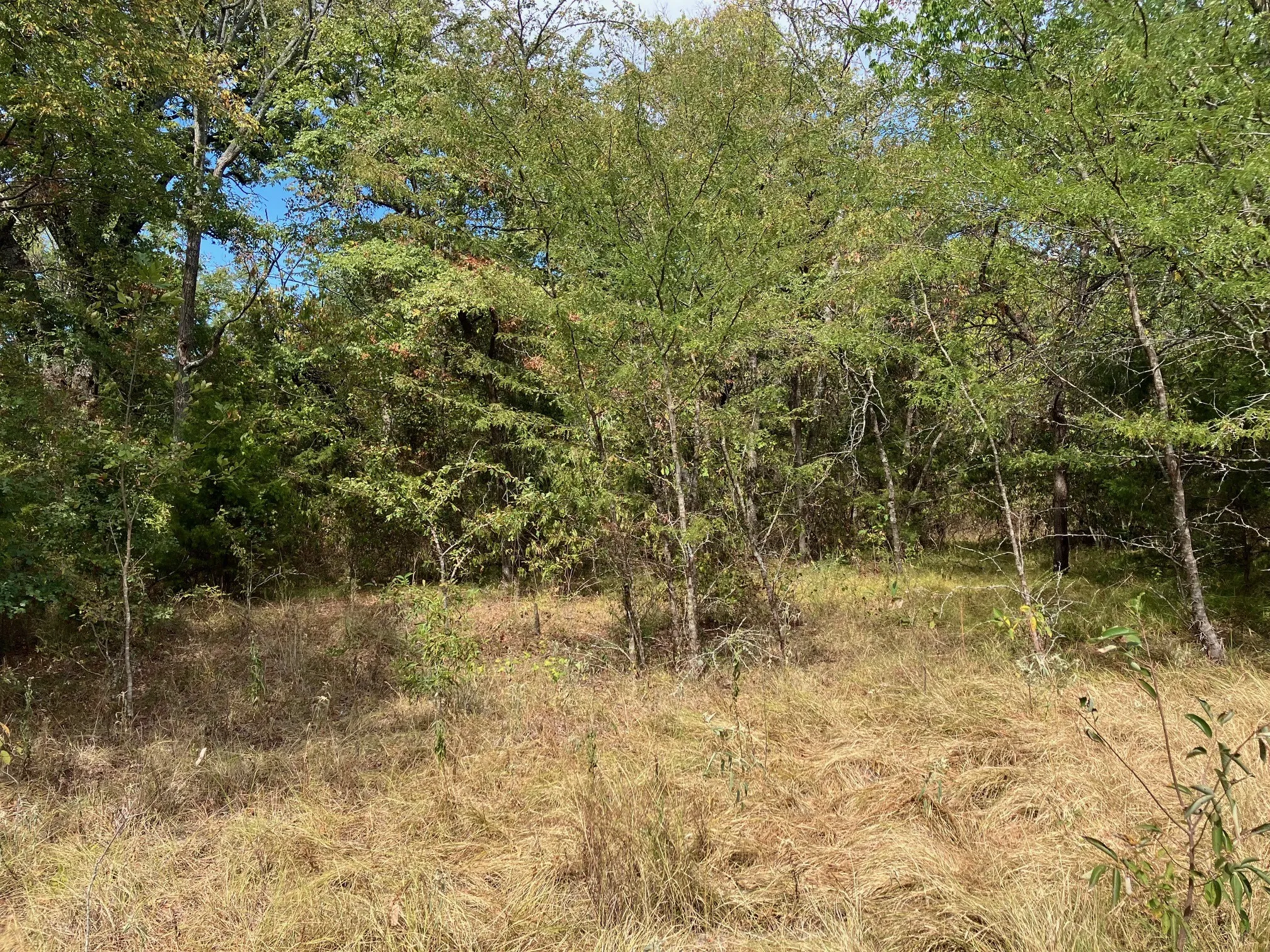 Unimproved Land For Sale in Hopkins County , TBD County Road 4758, Sulphur Springs, Texas 75482, 0, 0, Garage spaces, 0 Sqft, built in 0, mls#21399617, Real Estate Agent in Sulphur Springs, Homes For Sale in Hopkins county, Homes For Sale in Sulphur Springs, Realtor in Sulphur Springs Texas, Real Estate Brokerage Independent Realty Texas, Luminita Cordes Realtor