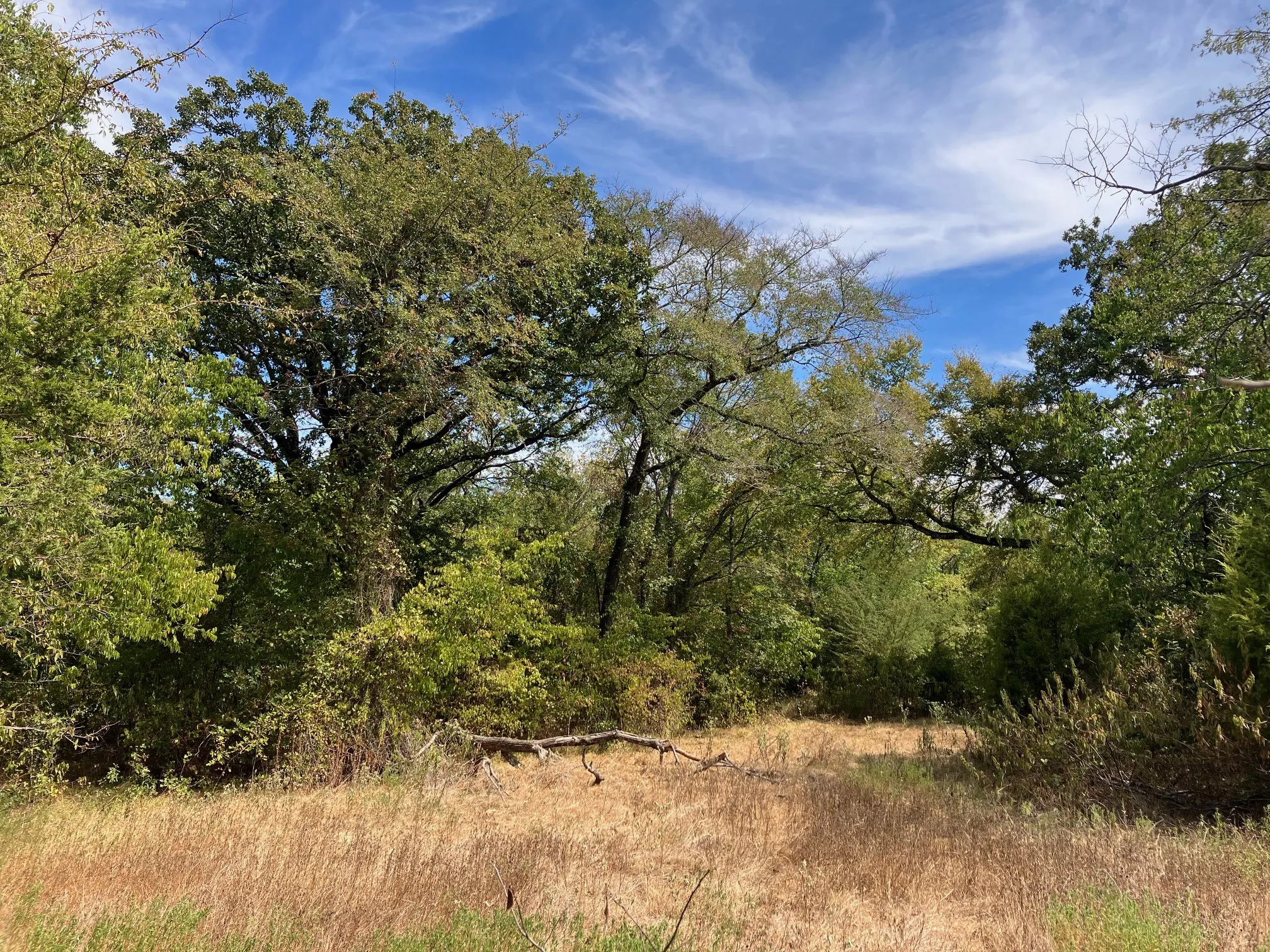 Unimproved Land For Sale in Hopkins County , TBD County Road 4758, Sulphur Springs, Texas 75482, 0, 0, Garage spaces, 0 Sqft, built in 0, mls#21399617, Real Estate Agent in Sulphur Springs, Homes For Sale in Hopkins county, Homes For Sale in Sulphur Springs, Realtor in Sulphur Springs Texas, Real Estate Brokerage Independent Realty Texas, Luminita Cordes Realtor