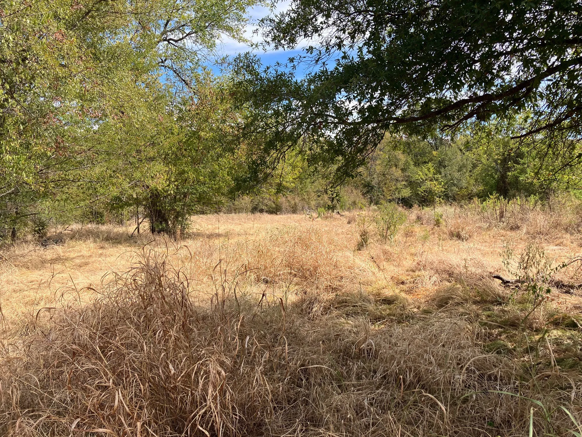 Unimproved Land For Sale in Hopkins County , TBD County Road 4758, Sulphur Springs, Texas 75482, 0, 0, Garage spaces, 0 Sqft, built in 0, mls#21399617, Real Estate Agent in Sulphur Springs, Homes For Sale in Hopkins county, Homes For Sale in Sulphur Springs, Realtor in Sulphur Springs Texas, Real Estate Brokerage Independent Realty Texas, Luminita Cordes Realtor