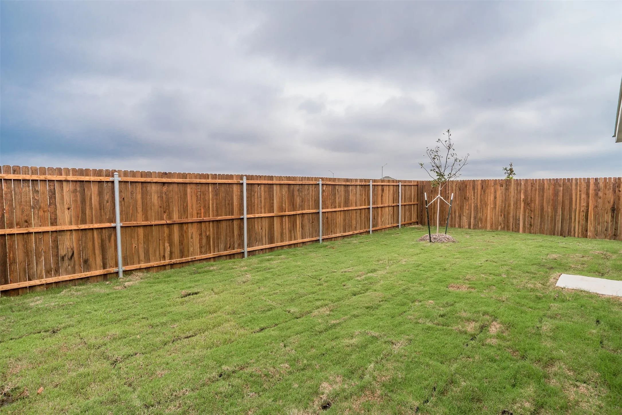 View of fenced backyard